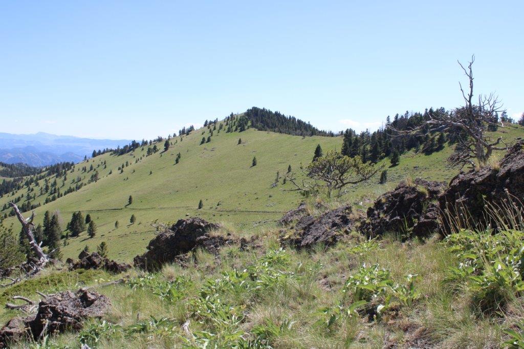 Tbd Black Canyon Lane Property Photo 5