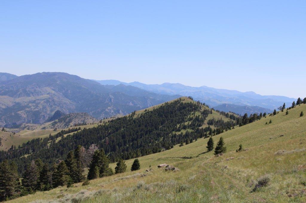 Tbd Black Canyon Lane Property Photo 9