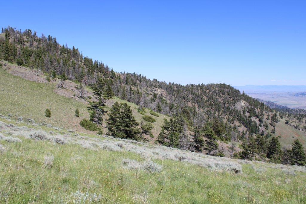 Tbd Black Canyon Lane Property Photo 11