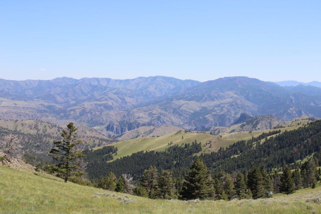 Tbd Black Canyon Lane Property Photo 12