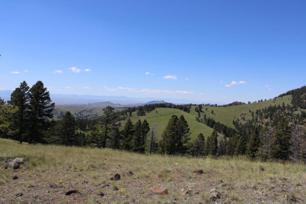 Tbd Black Canyon Lane Property Photo 14