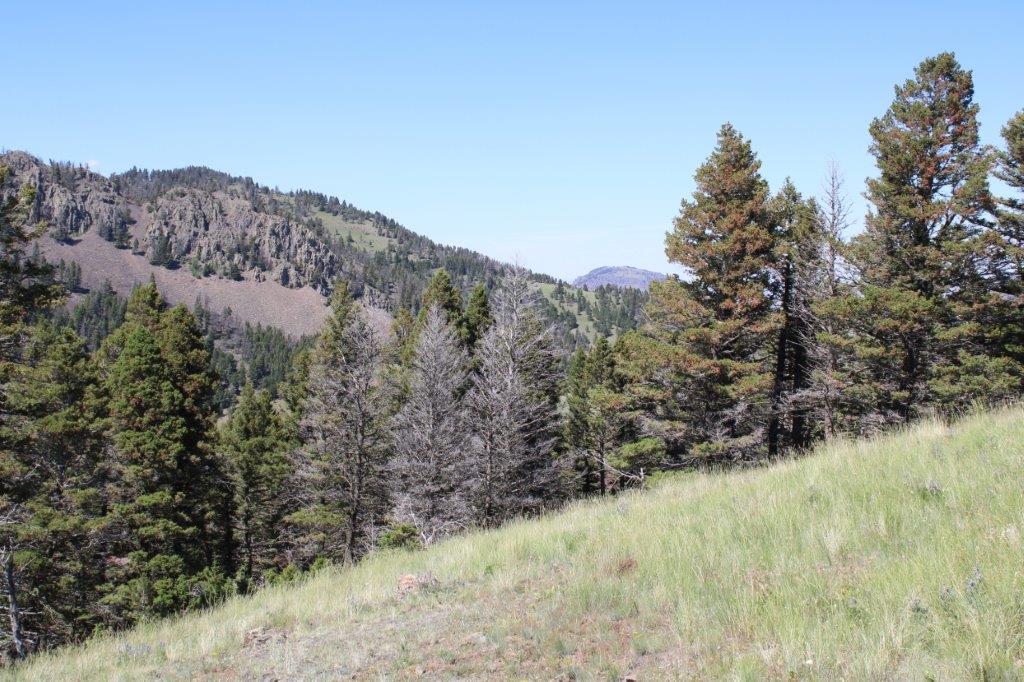Tbd Black Canyon Lane Property Photo 15