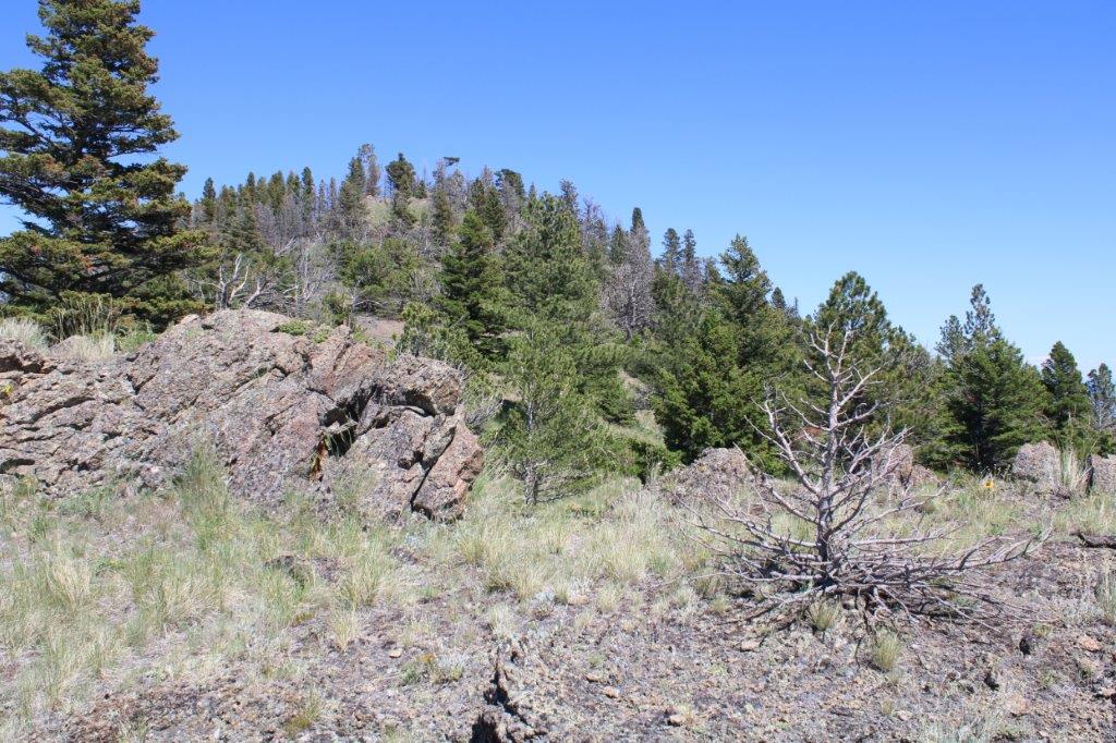 Tbd Black Canyon Lane Property Photo 18