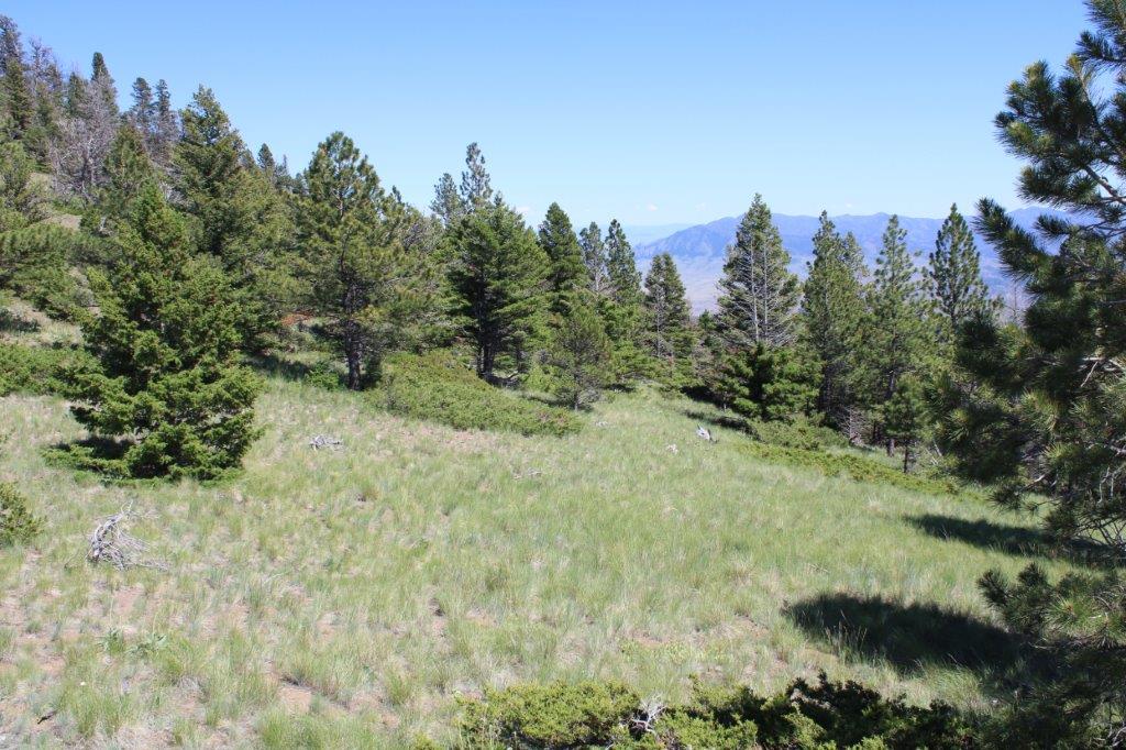 Tbd Black Canyon Lane Property Photo 19