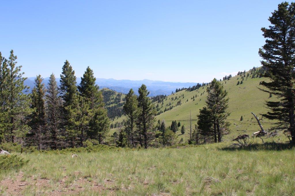 Tbd Black Canyon Lane Property Photo 21