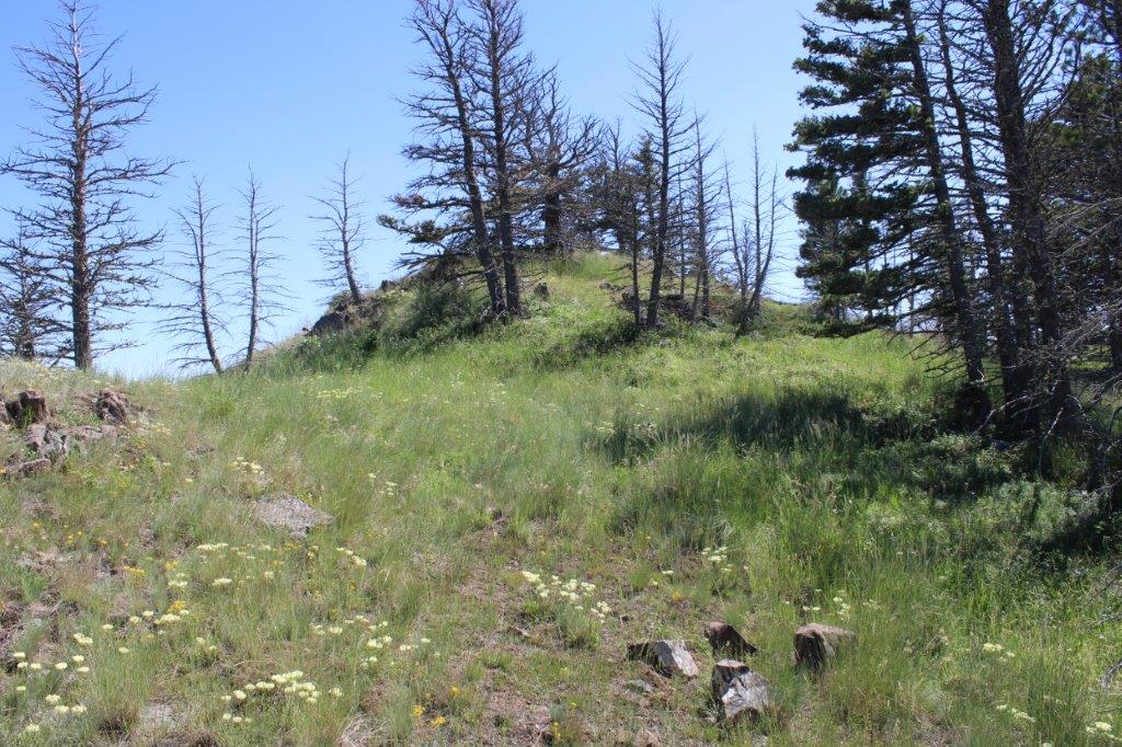 Tbd Black Canyon Lane Property Photo 27