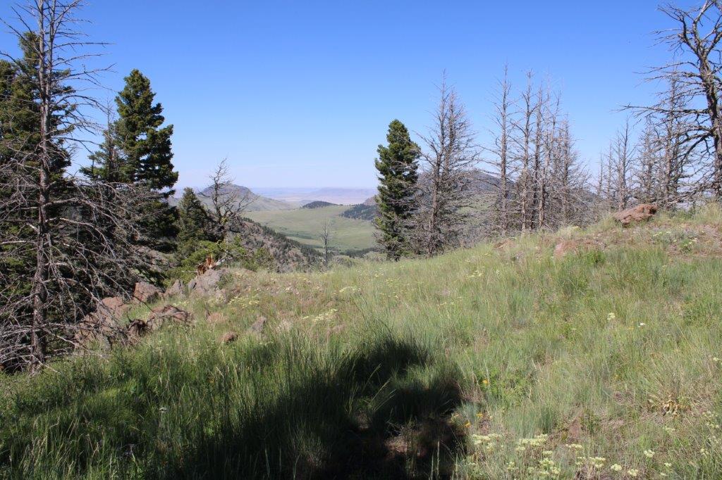 Tbd Black Canyon Lane Property Photo 28