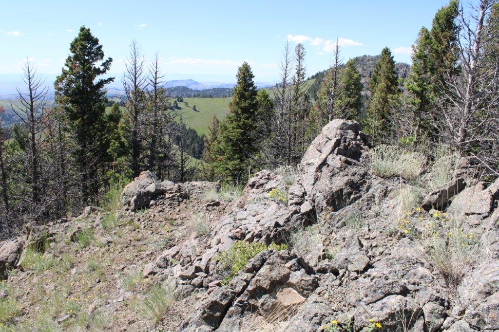 Tbd Black Canyon Lane Property Photo 29