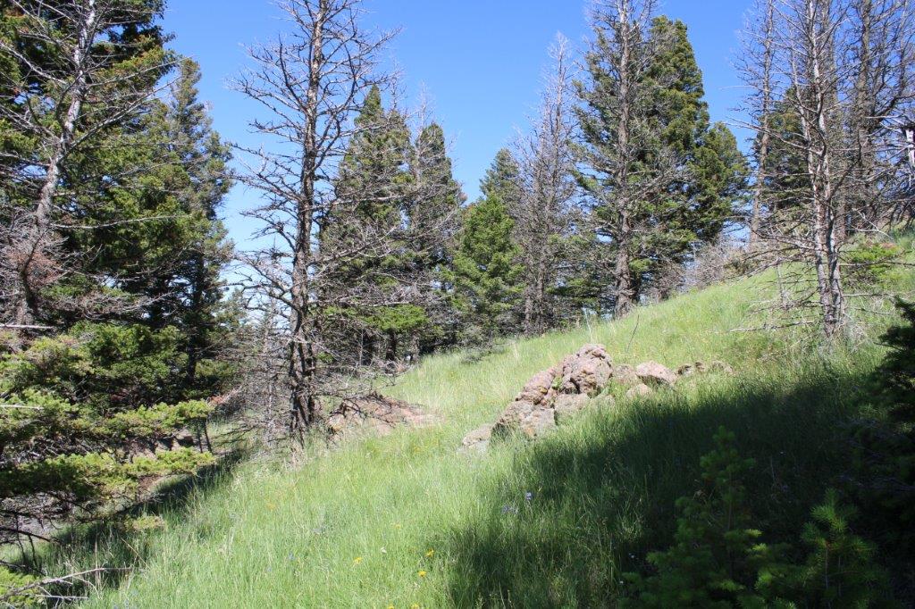 Tbd Black Canyon Lane Property Photo 30