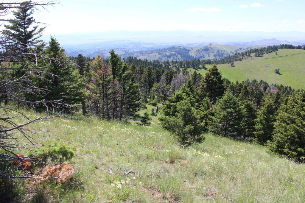 Tbd Black Canyon Lane Property Photo 31
