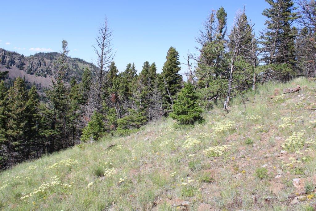 Tbd Black Canyon Lane Property Photo 32