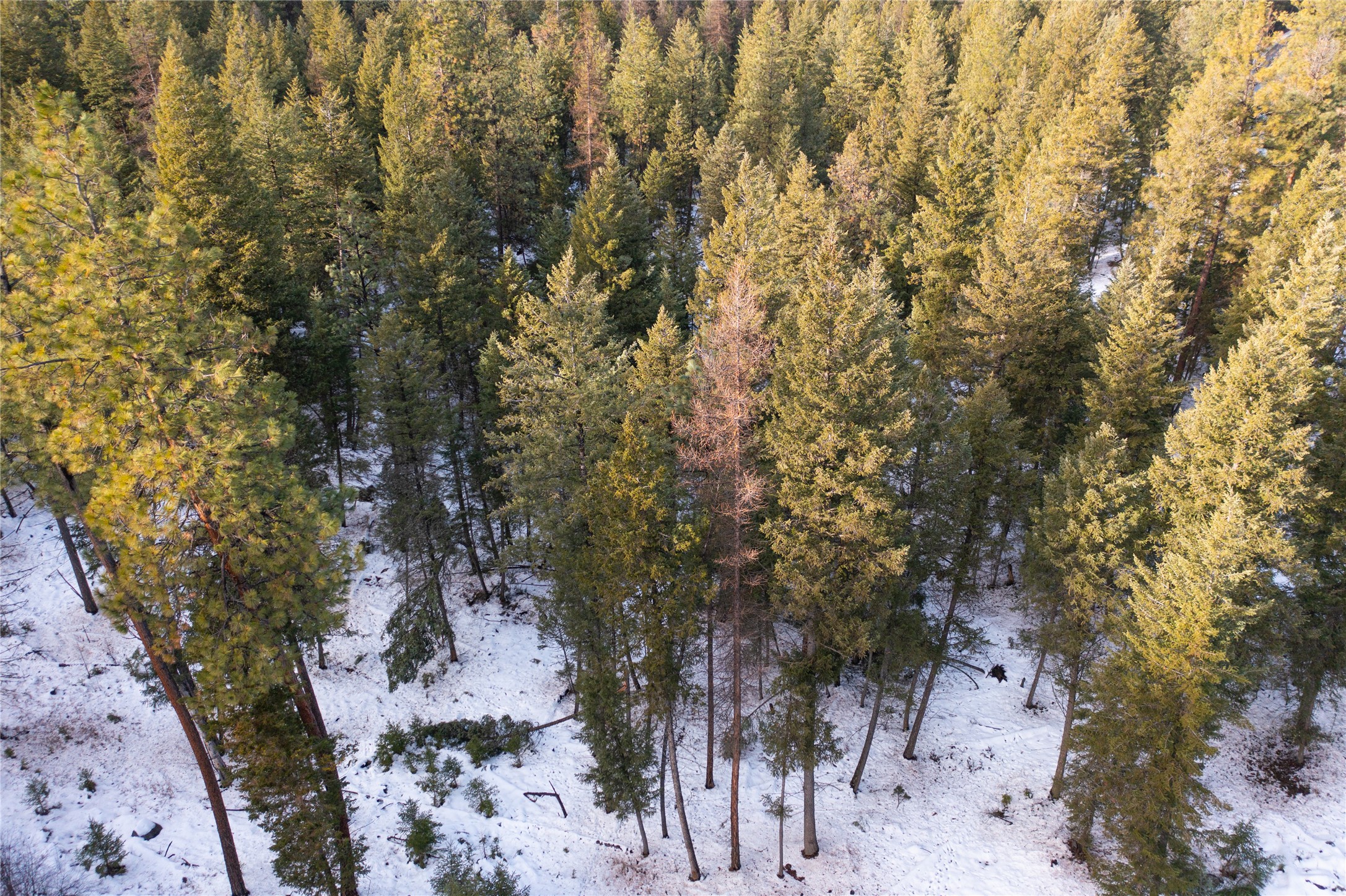 Nhn Othorp Lake Road Parcel 3 Property Photo 2