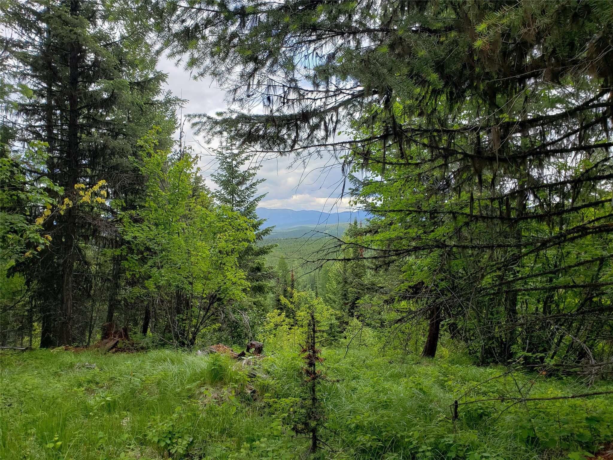 Tbd Butcher Creek Road Property Photo 1
