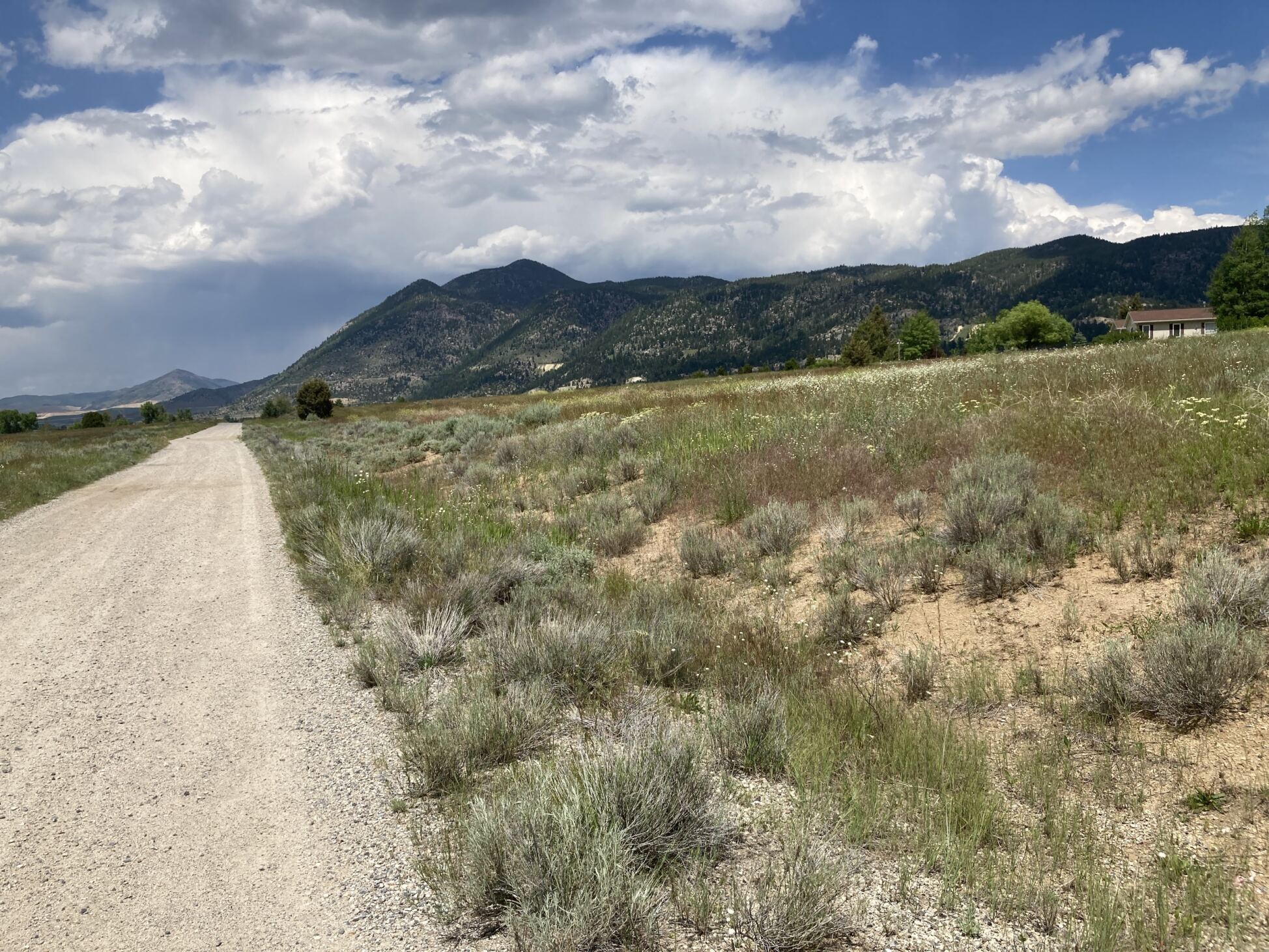 Lot 9 TBD Stonecrop Road