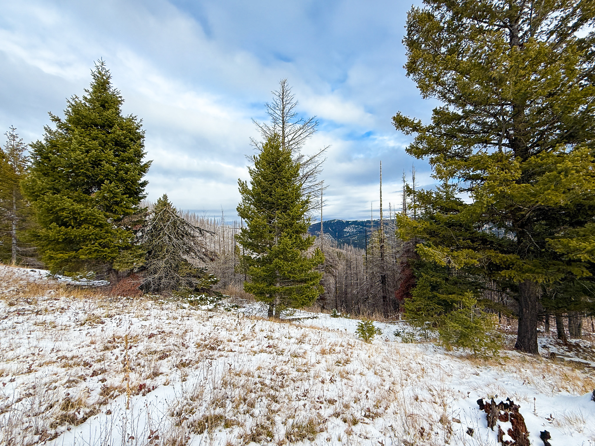 Nhn (grotto) Cave Gulch Road Property Photo 4