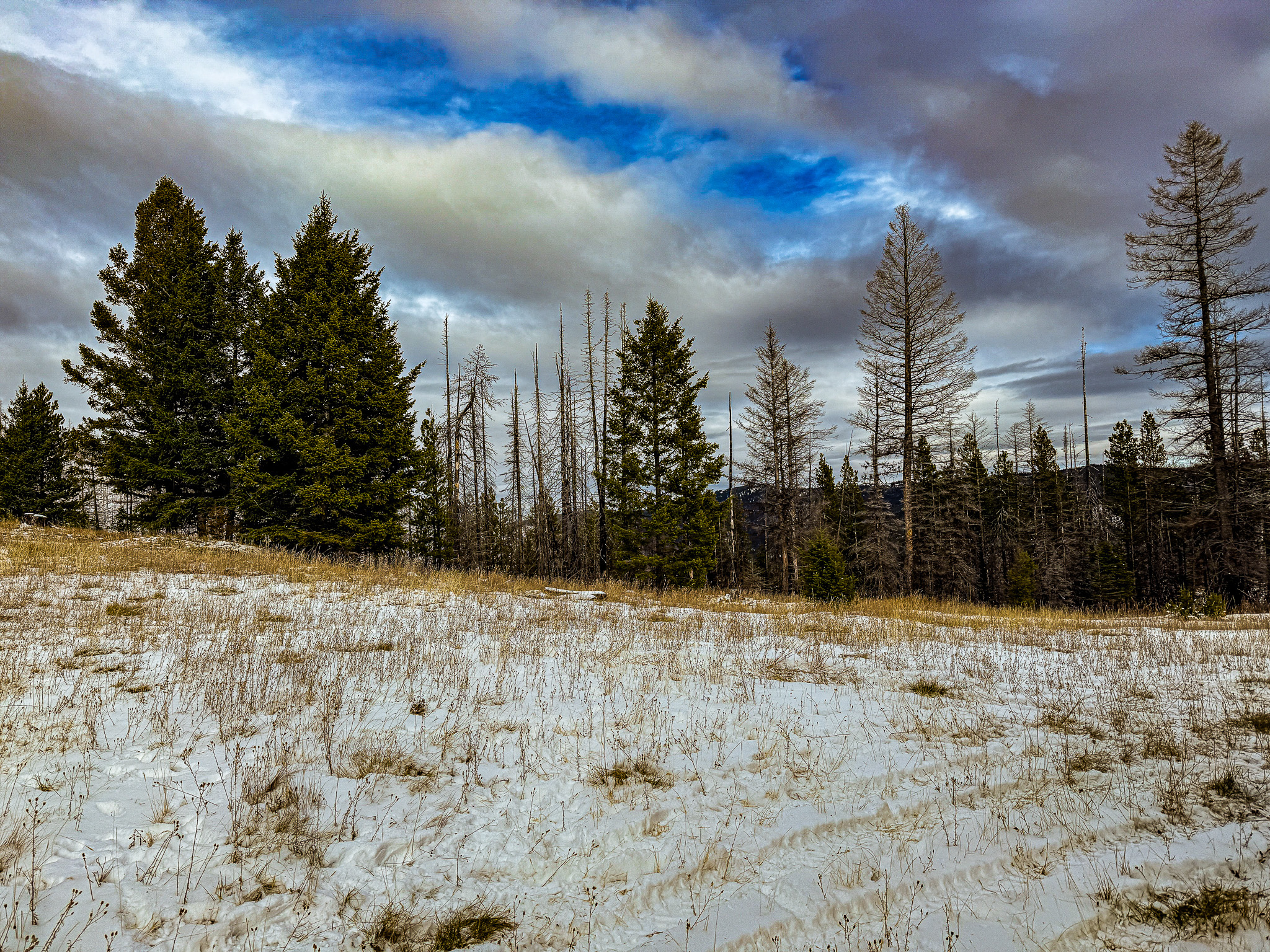 Nhn (grotto) Cave Gulch Road Property Photo 9