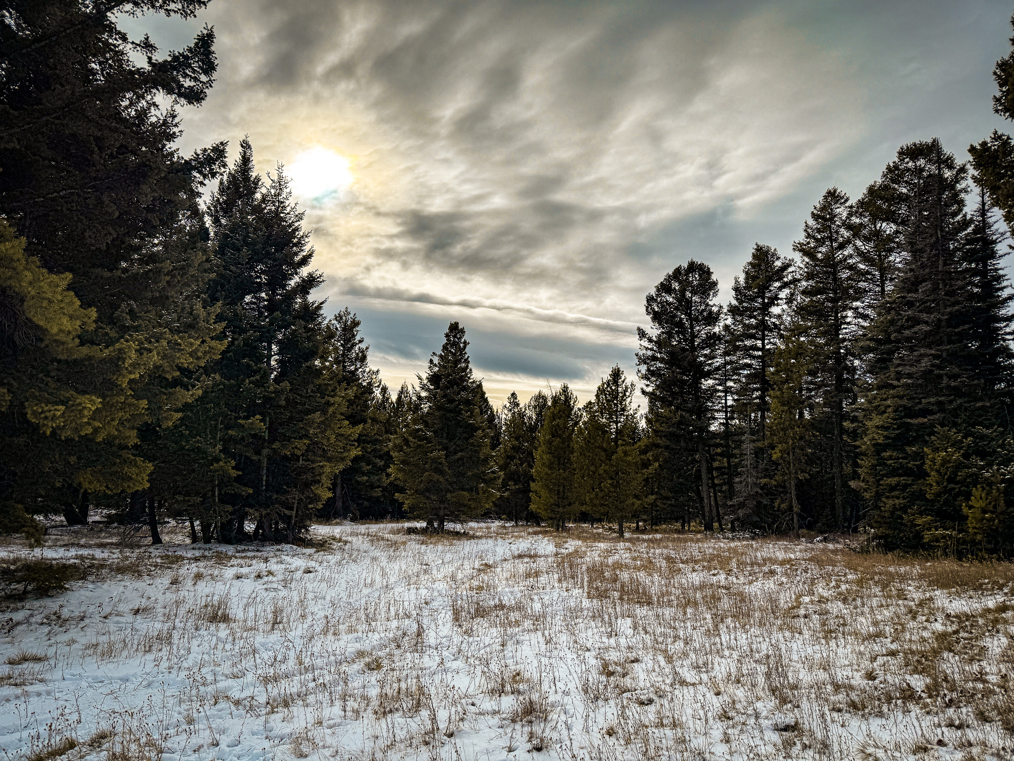 Nhn (grotto) Cave Gulch Road Property Photo 30