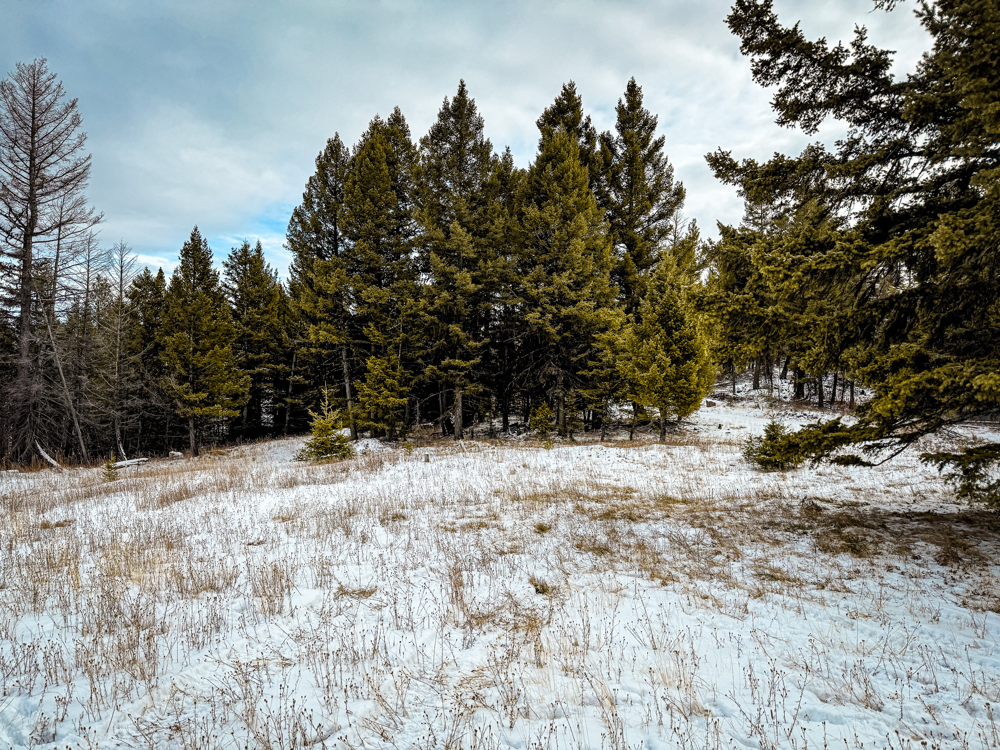 Nhn (grotto) Cave Gulch Road Property Photo 32