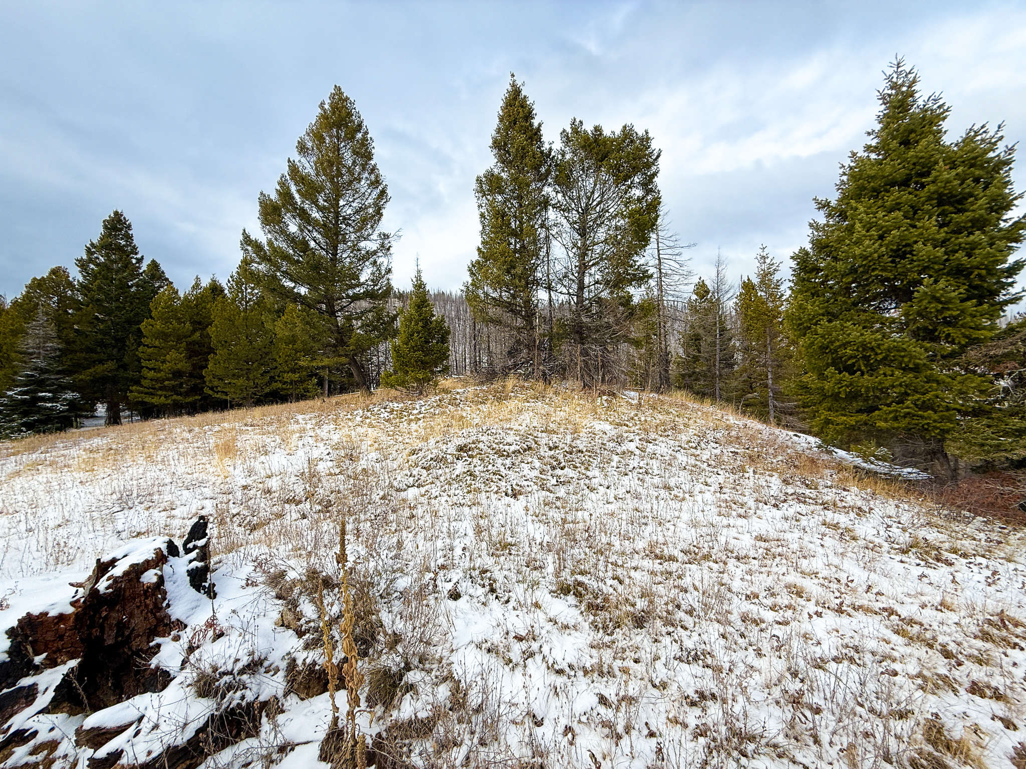 Nhn (grotto) Cave Gulch Road Property Photo 34