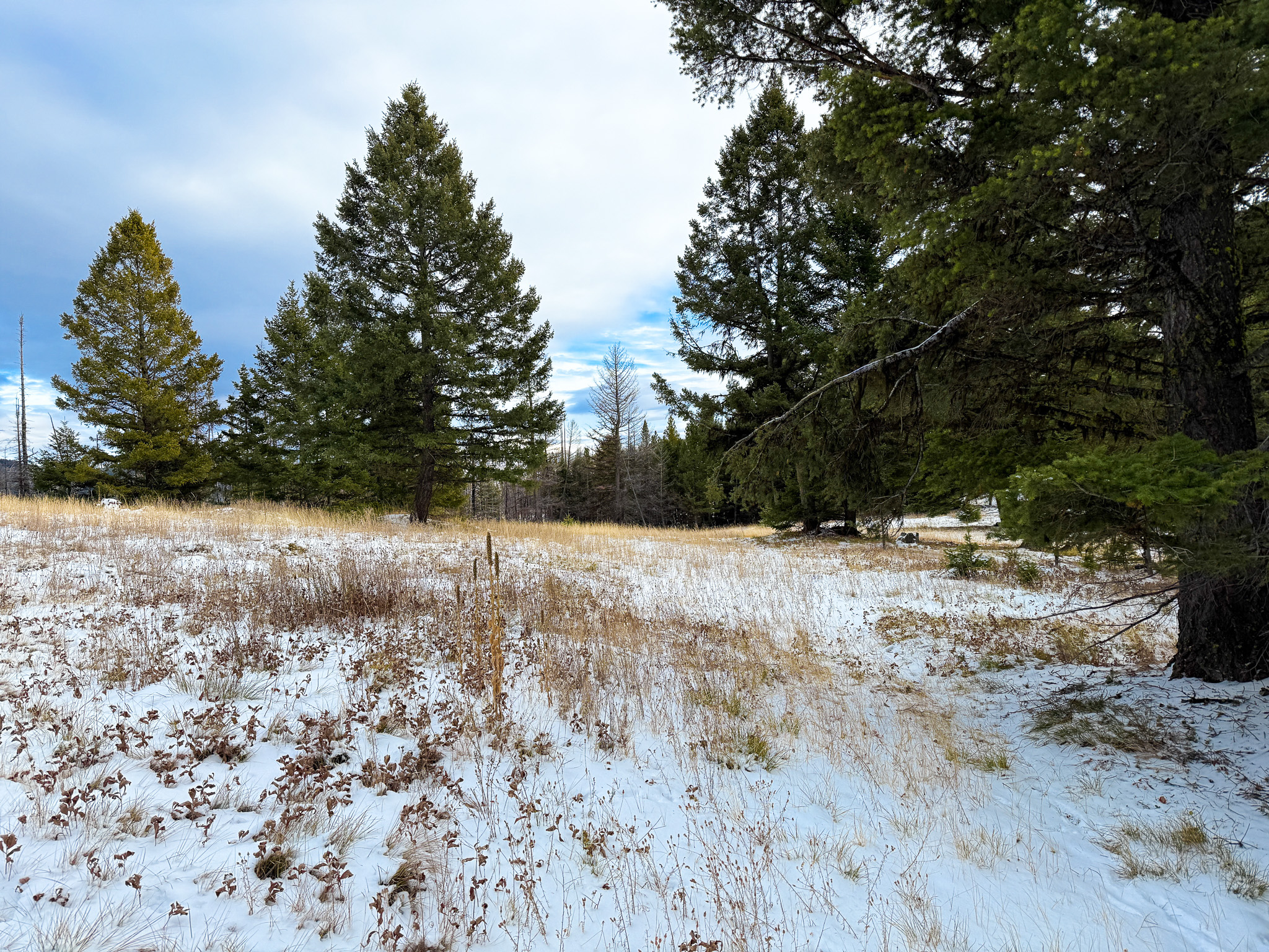 Nhn (grotto) Cave Gulch Road Property Photo 37