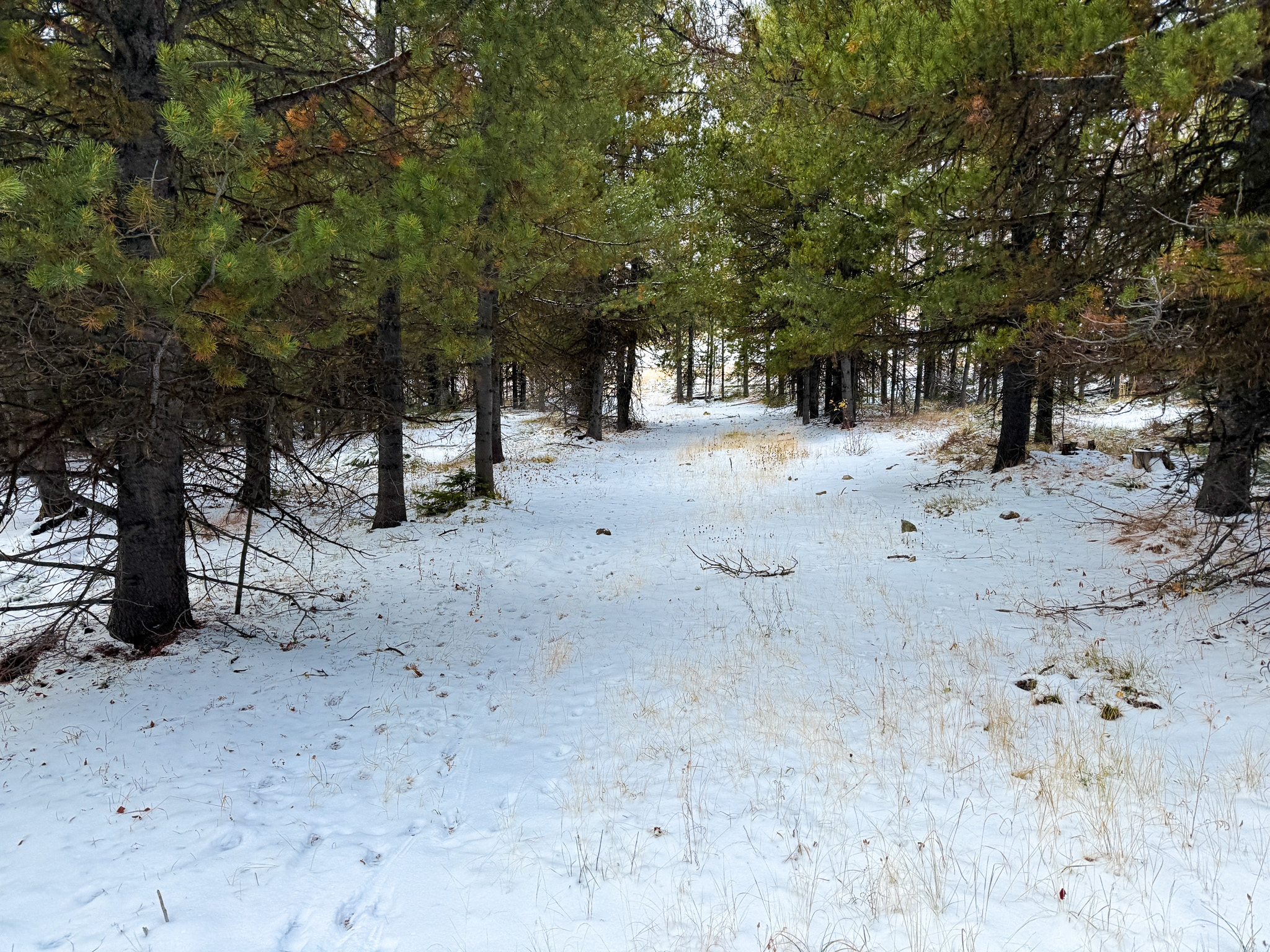 Nhn (grotto) Cave Gulch Road Property Photo 38
