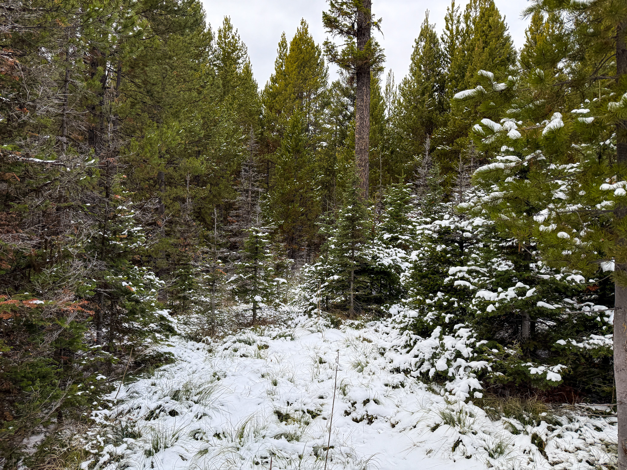 Nhn (grotto) Cave Gulch Road Property Photo 40