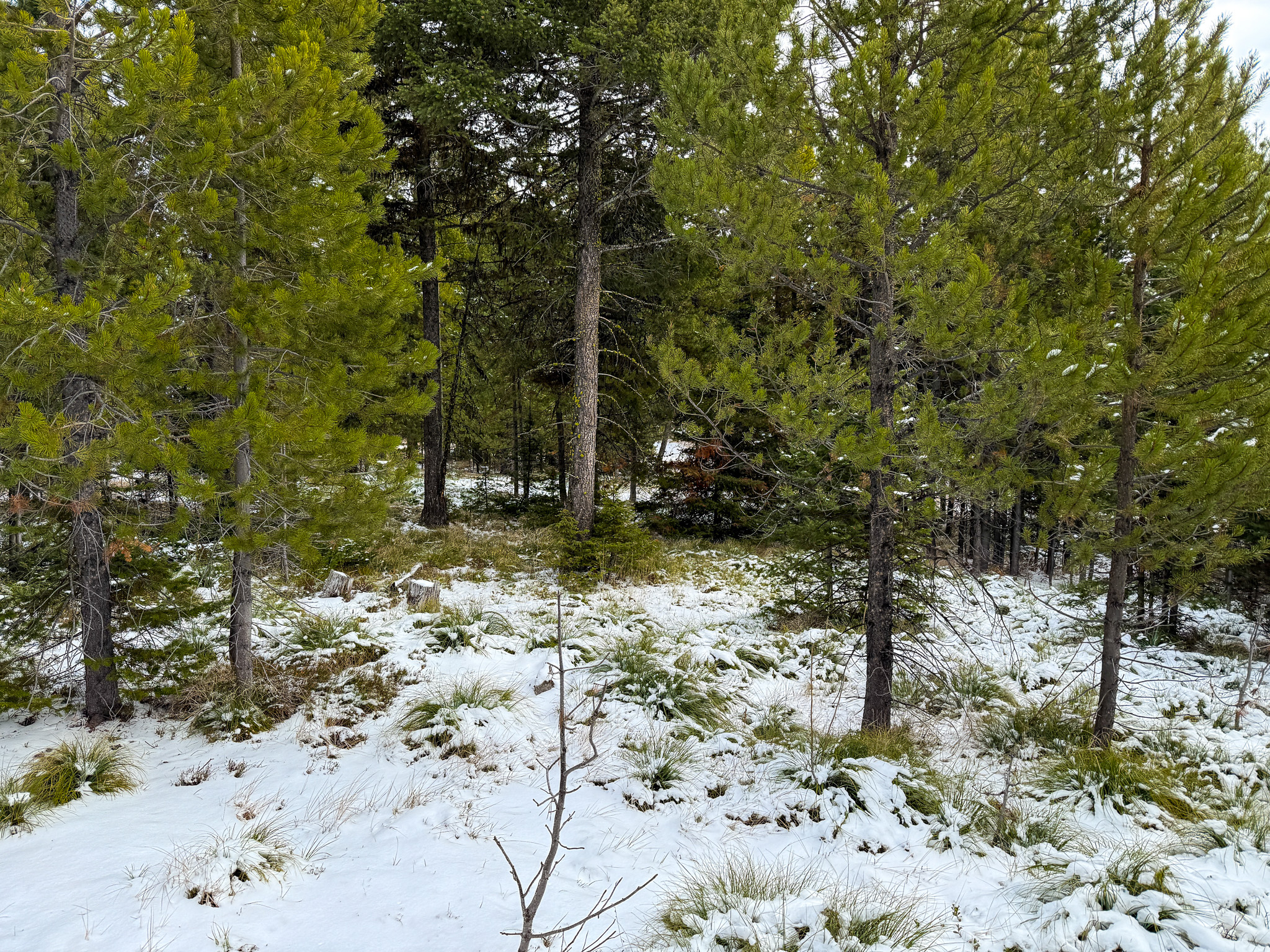Nhn (grotto) Cave Gulch Road Property Photo 41