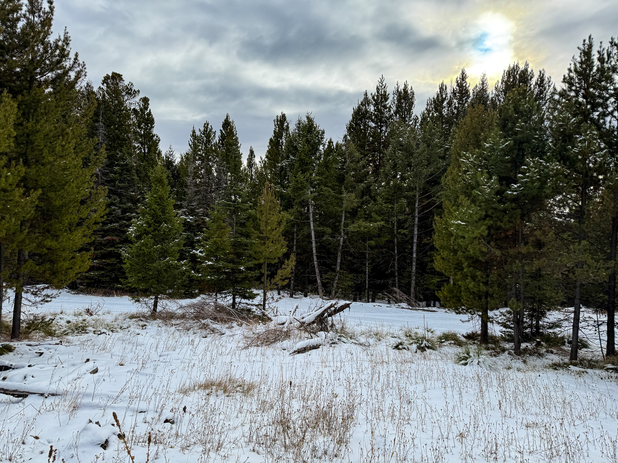 Nhn (grotto) Cave Gulch Road Property Photo 42