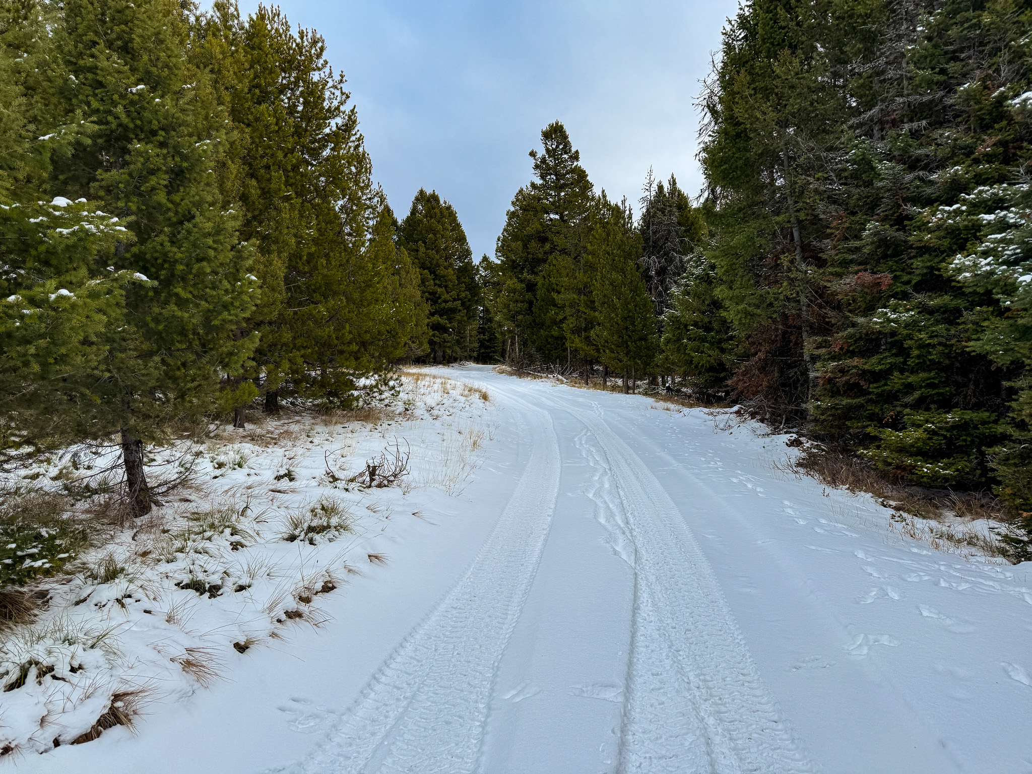 Nhn (grotto) Cave Gulch Road Property Photo 44