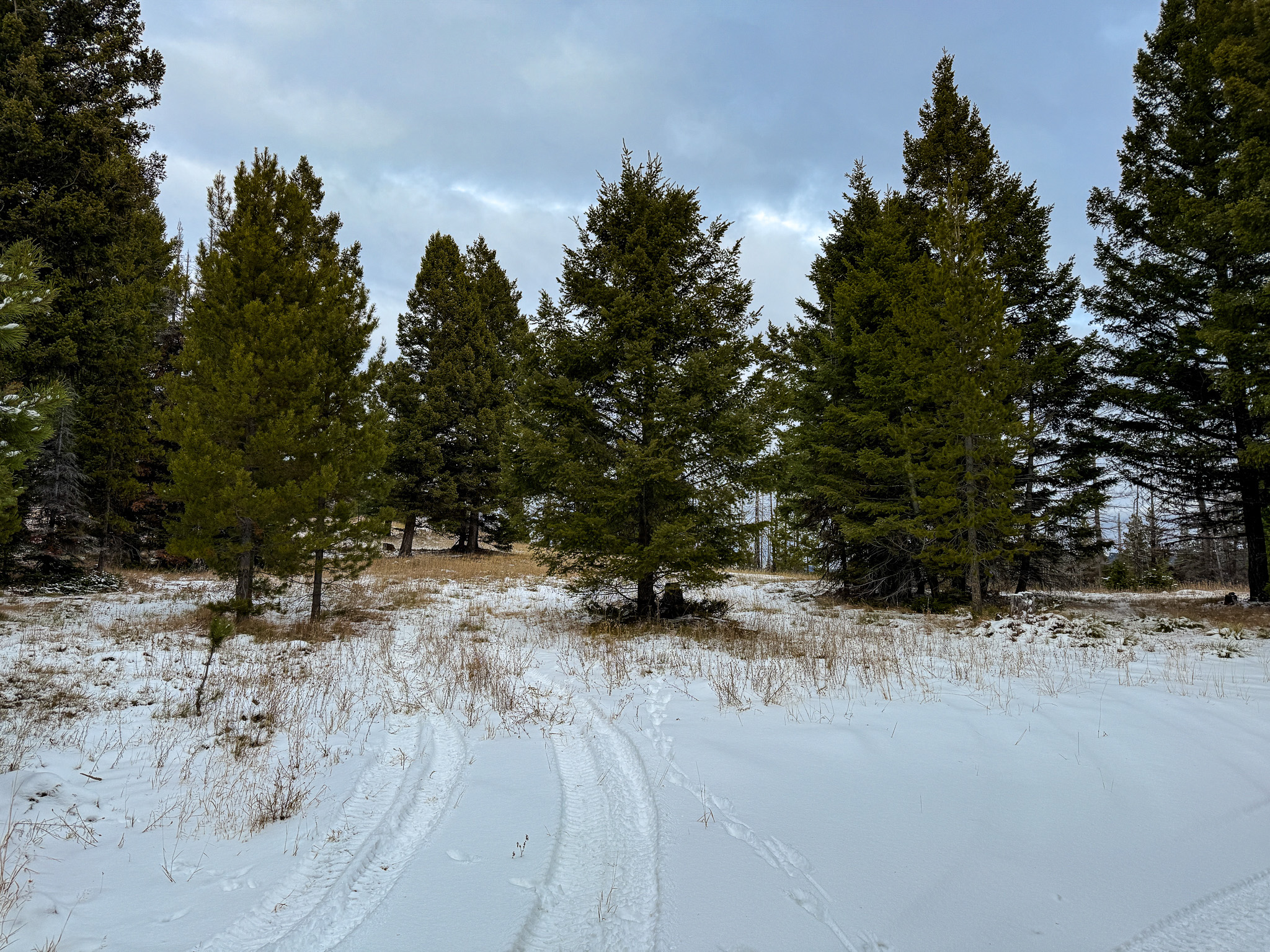 Nhn (grotto) Cave Gulch Road Property Photo 45