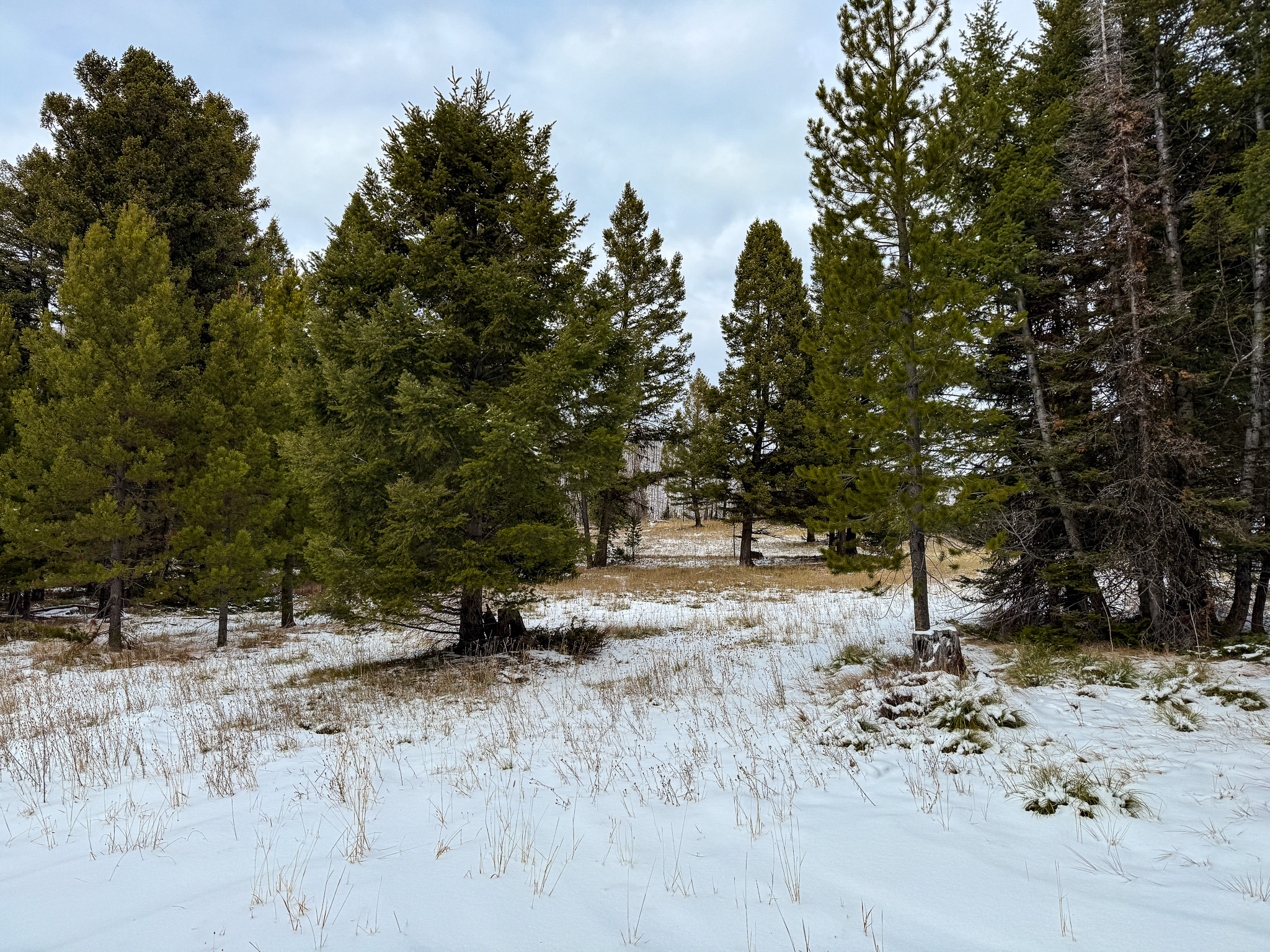 Nhn (grotto) Cave Gulch Road Property Photo 46