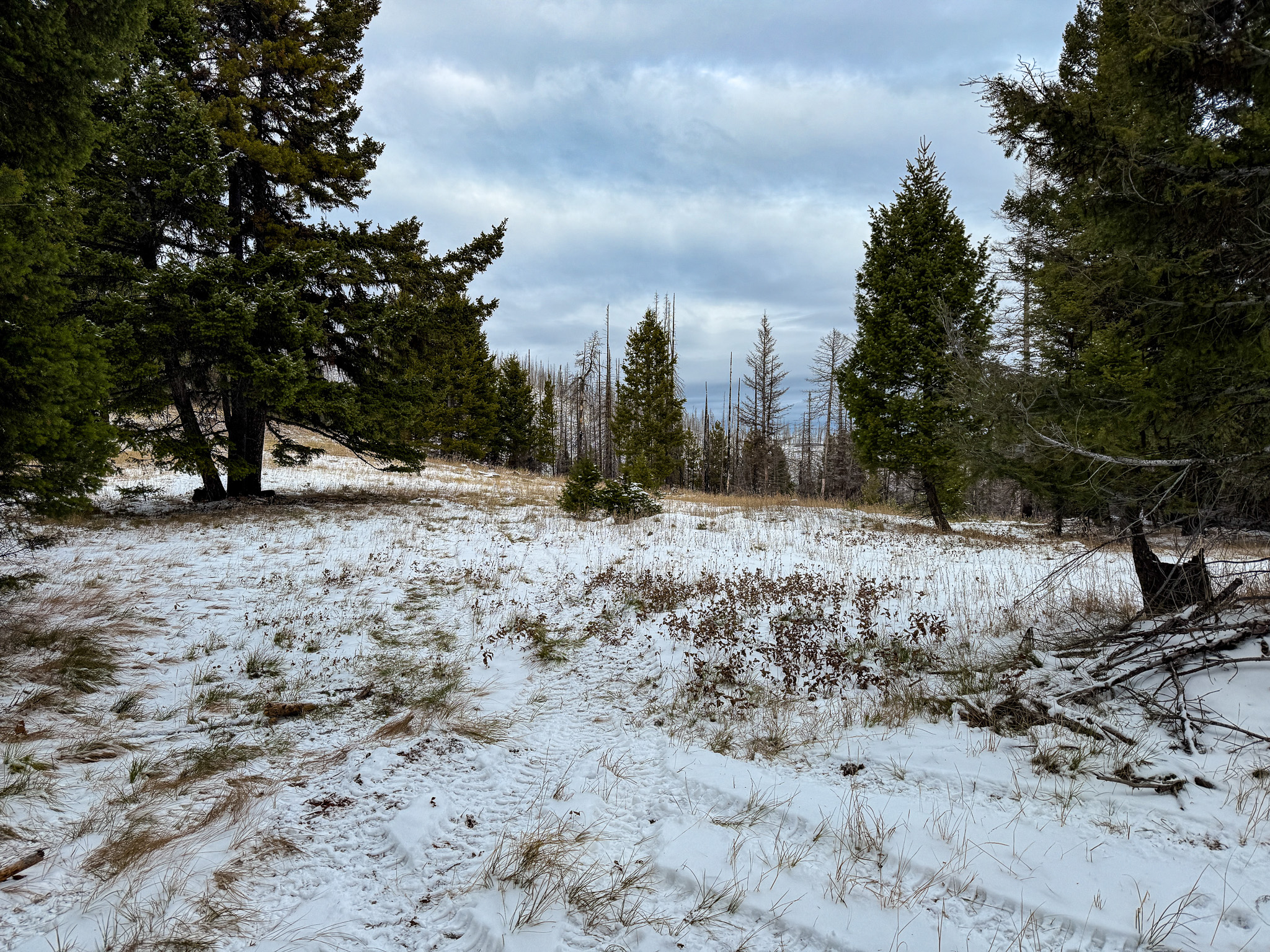 Nhn (grotto) Cave Gulch Road Property Photo 47