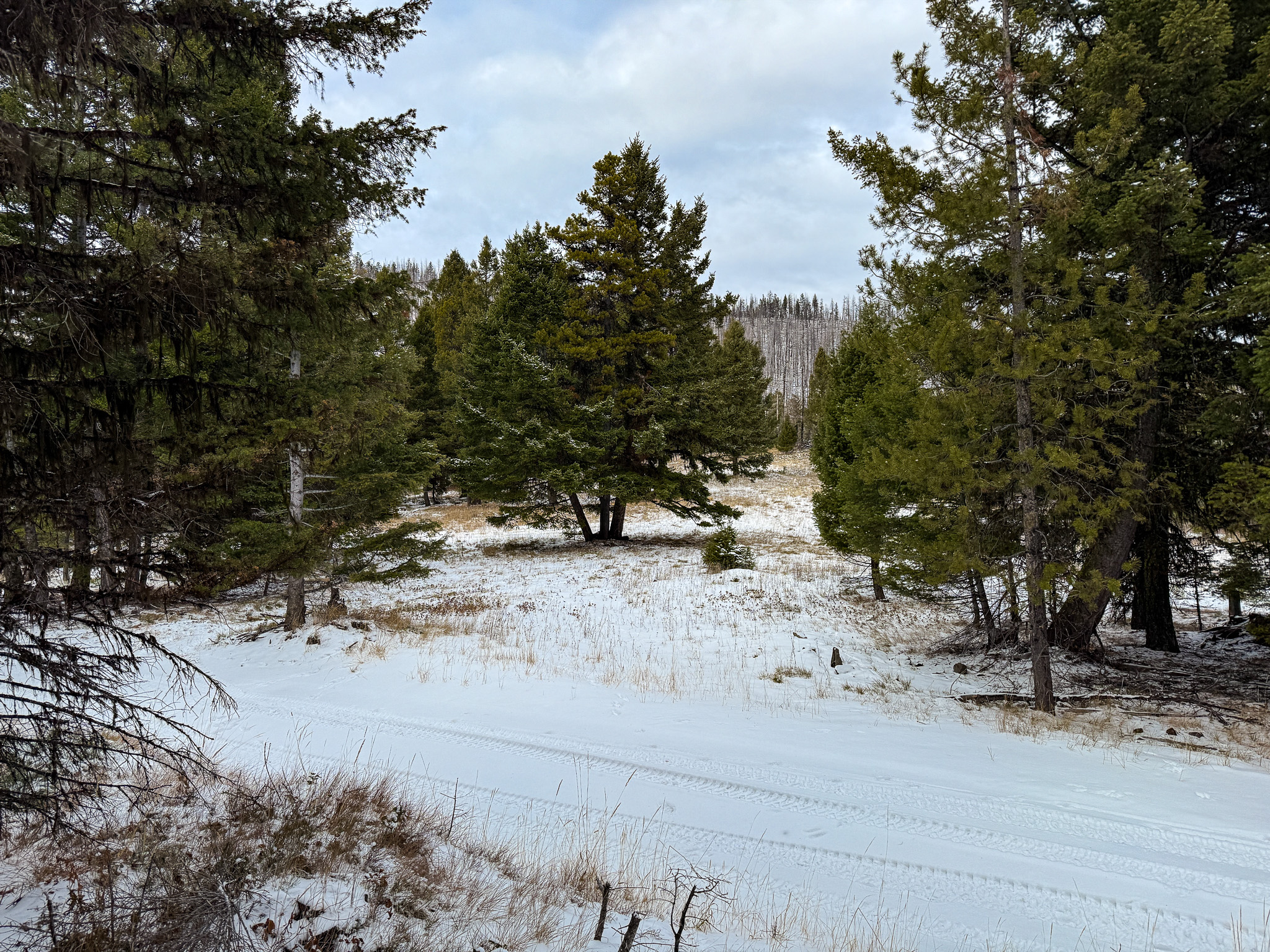 Nhn (grotto) Cave Gulch Road Property Photo 48