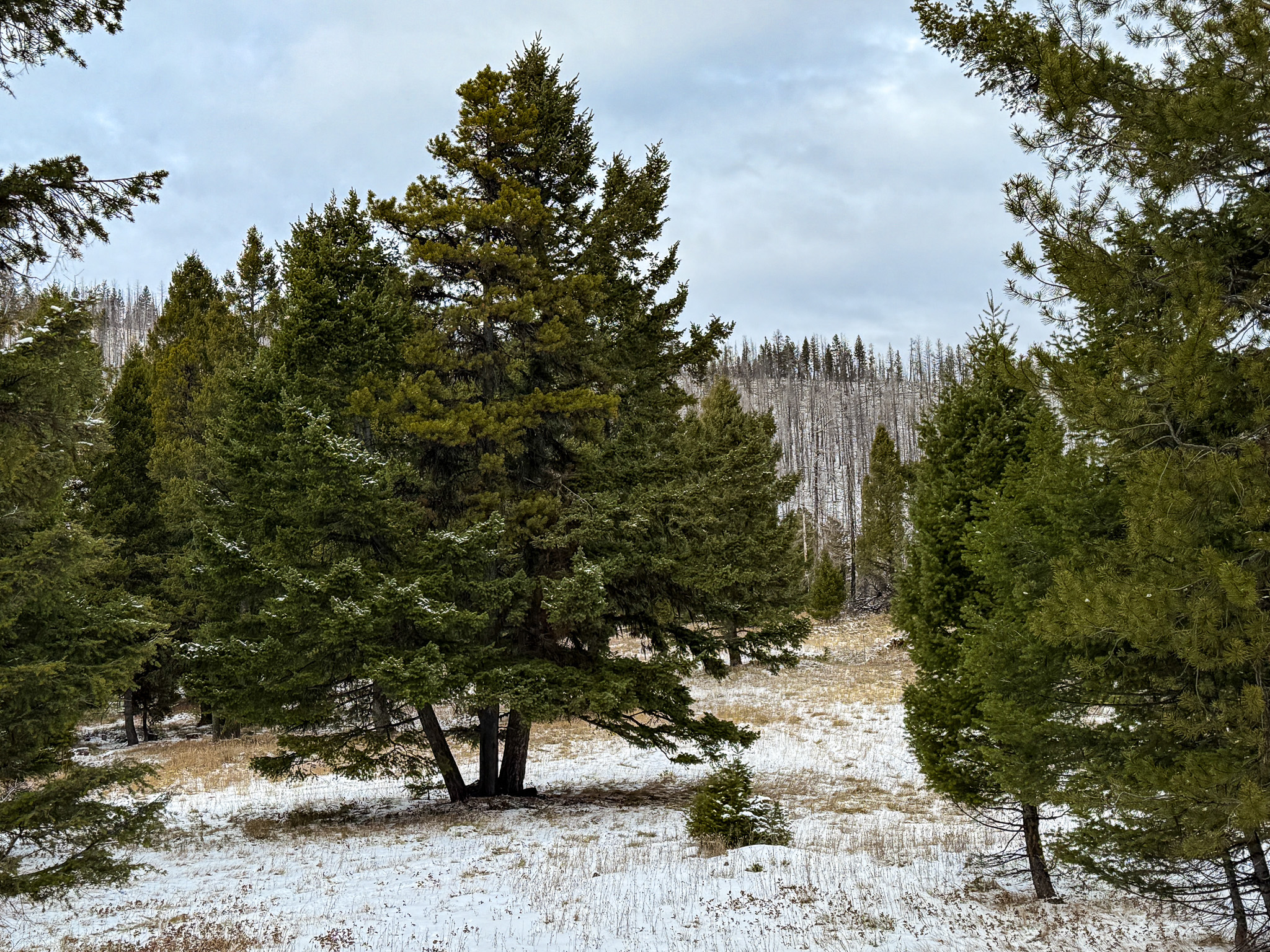 Nhn (grotto) Cave Gulch Road Property Photo 49