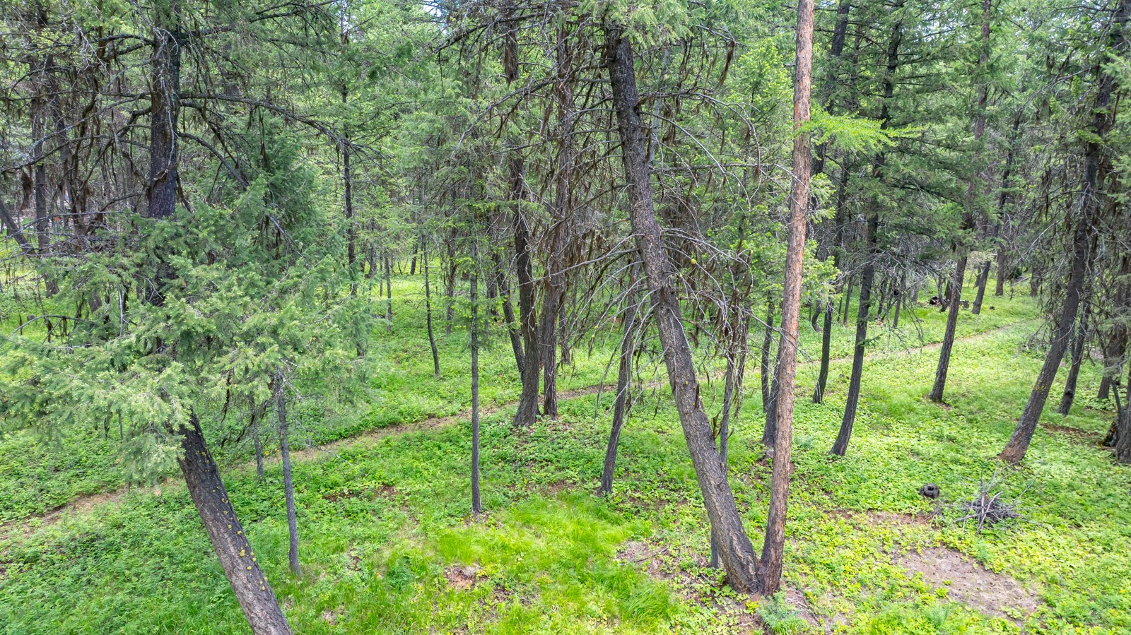 1341 N Prairie View Road Property Photo 51