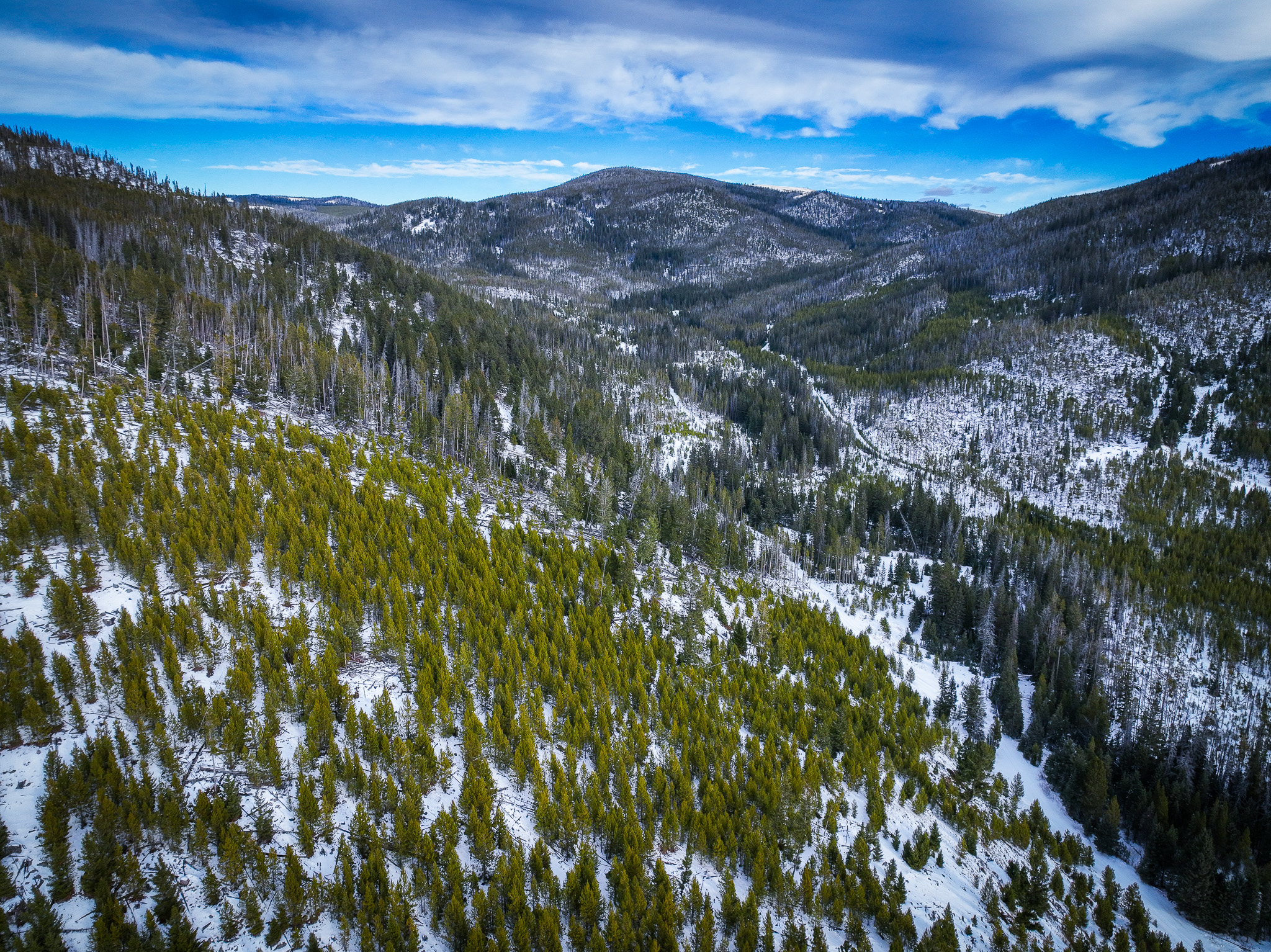 NHN (Clipper Lode) Cataract Creek Road Property Photo 1