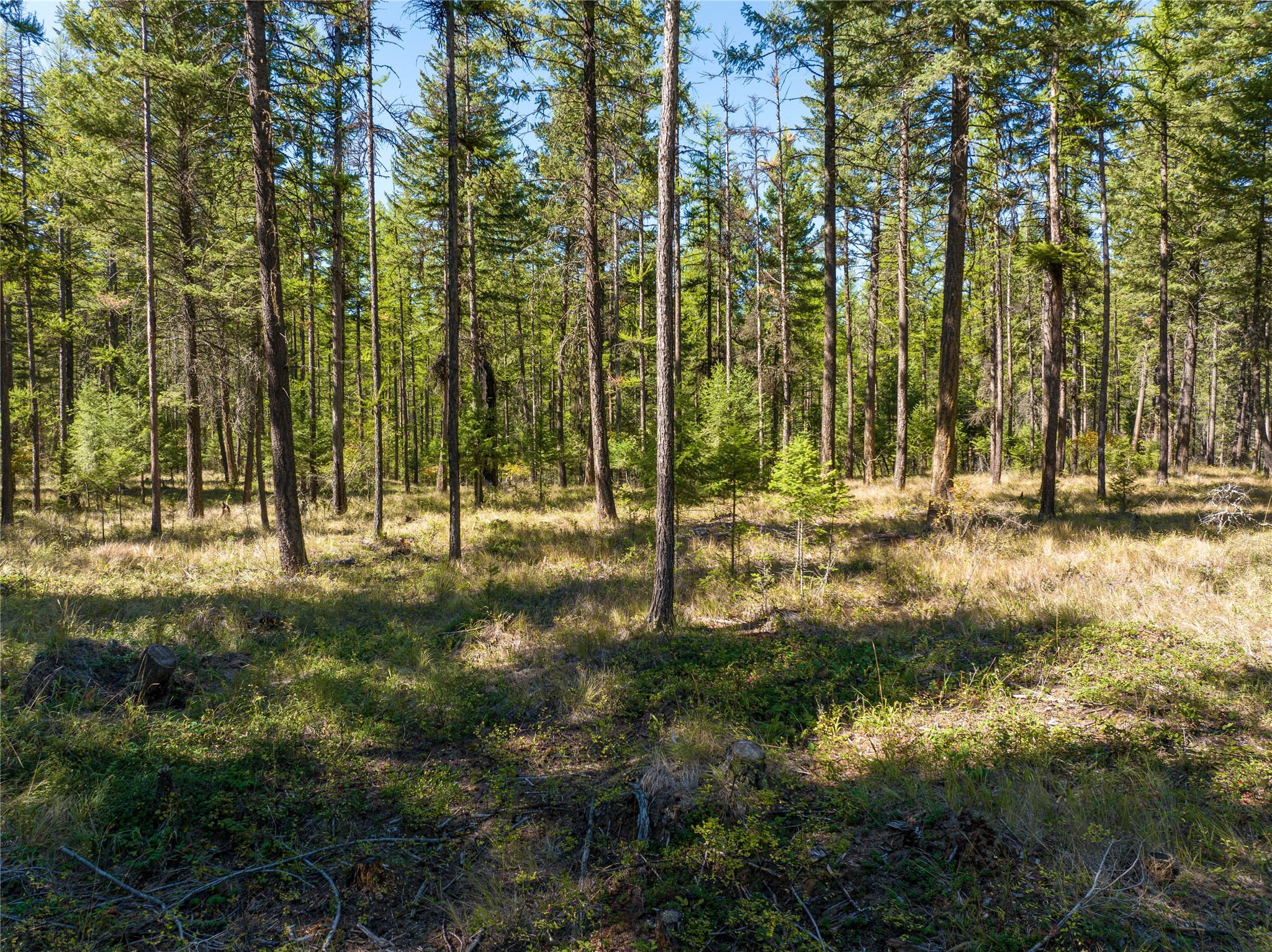 Nhn Benchmark Drive Property Photo 2