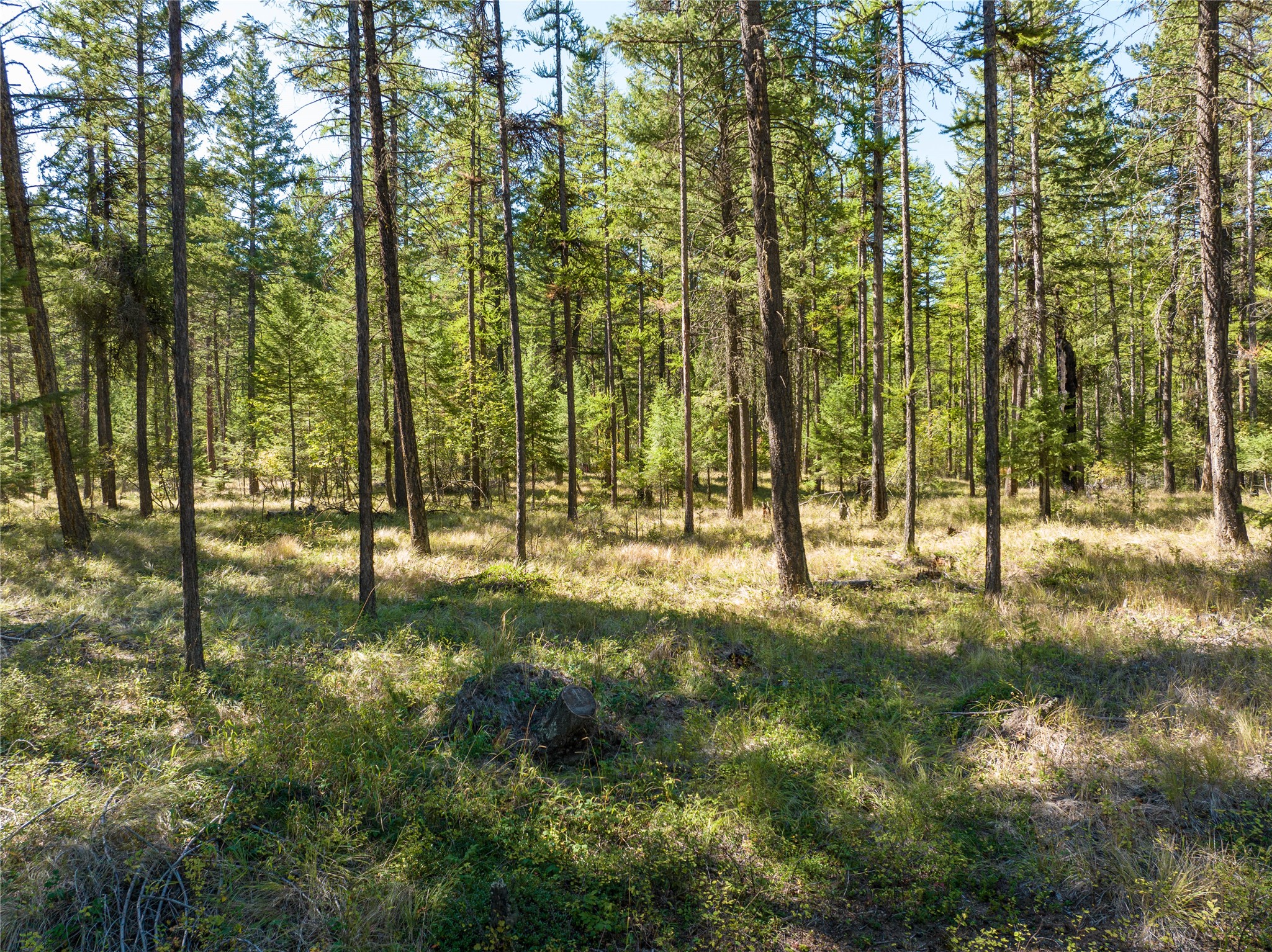 Nhn Benchmark Drive Property Photo 3