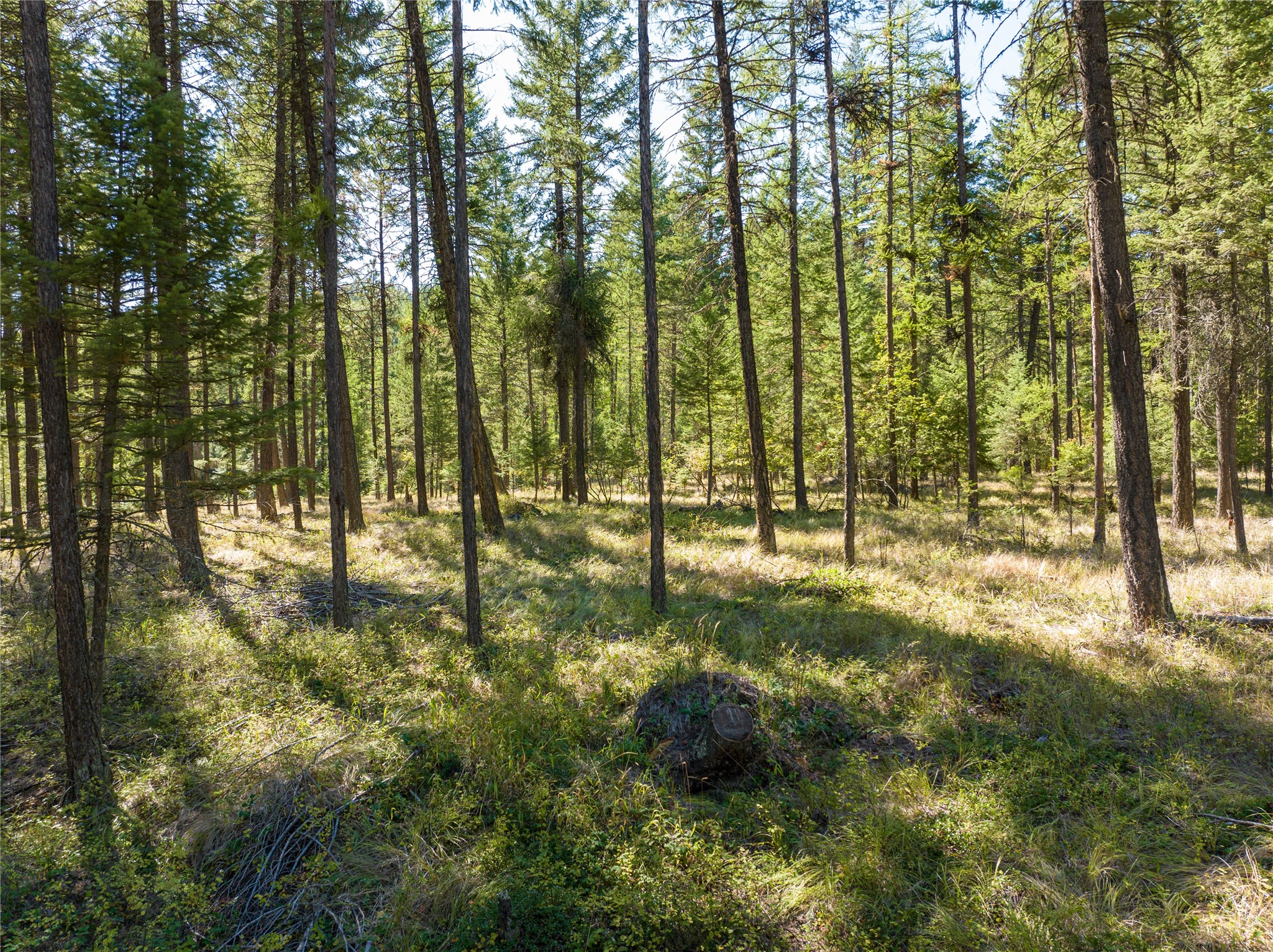 Nhn Benchmark Drive Property Photo 4