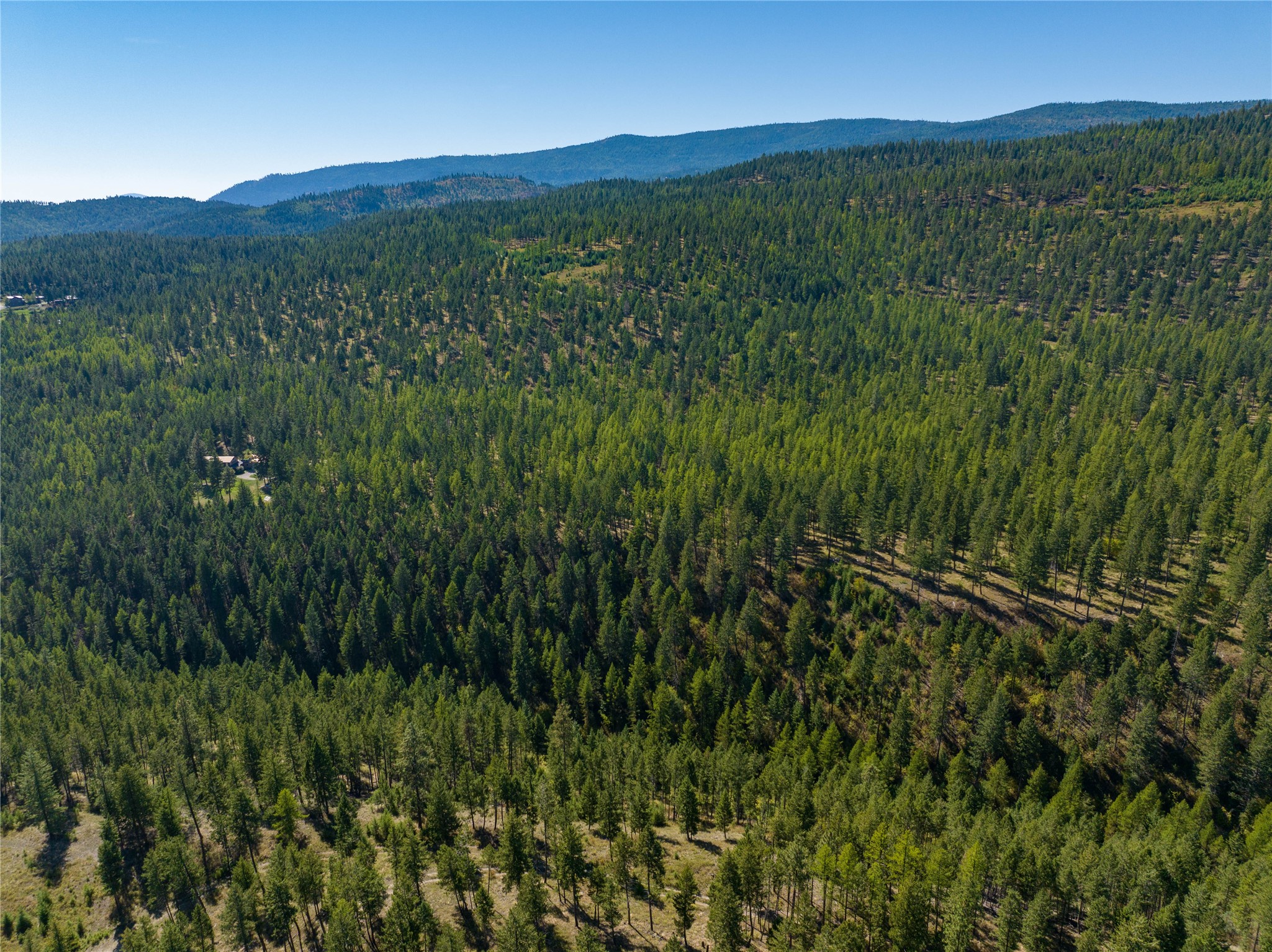 Nhn Benchmark Drive Property Photo 10