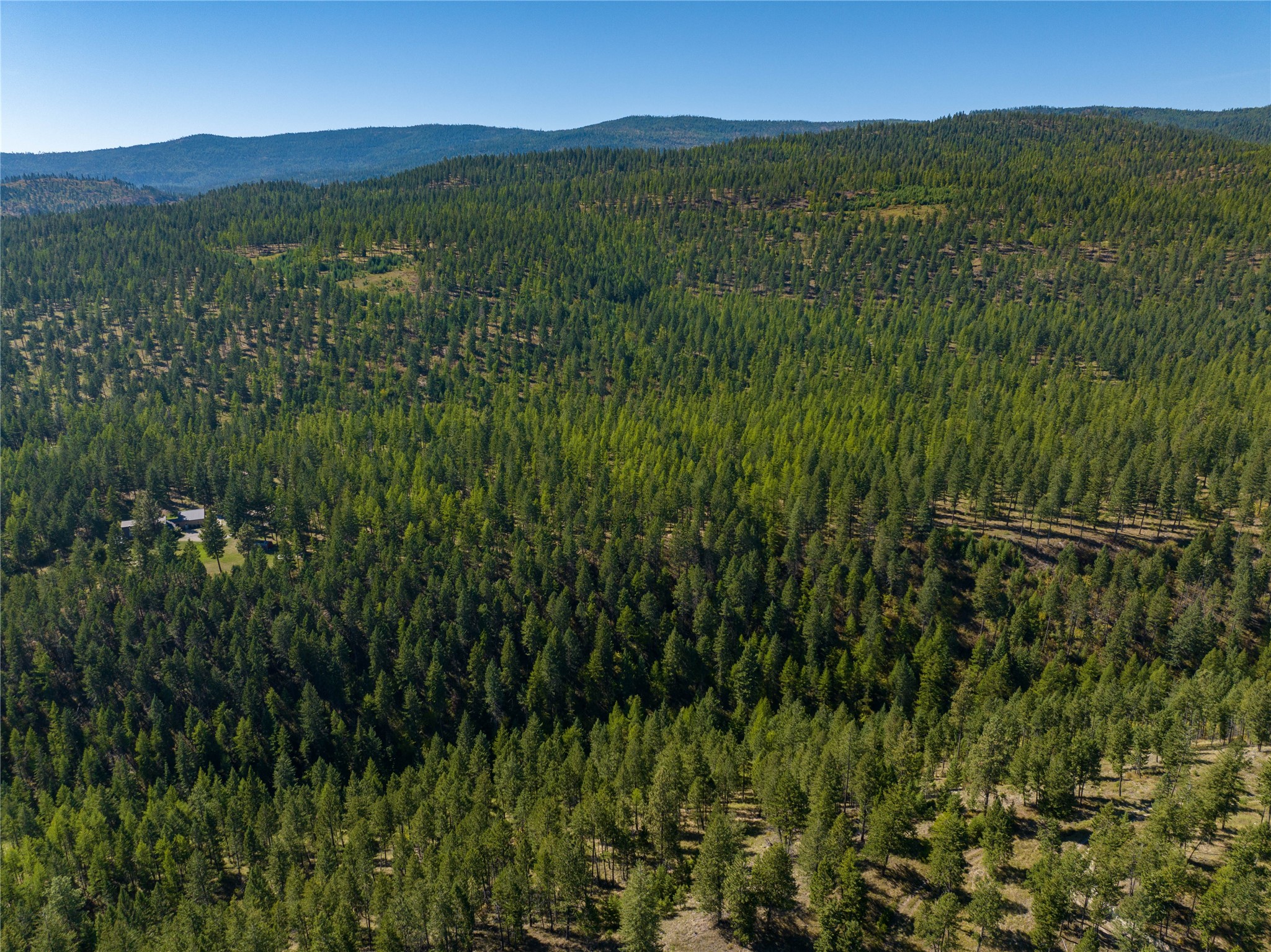 Nhn Benchmark Drive Property Photo 11