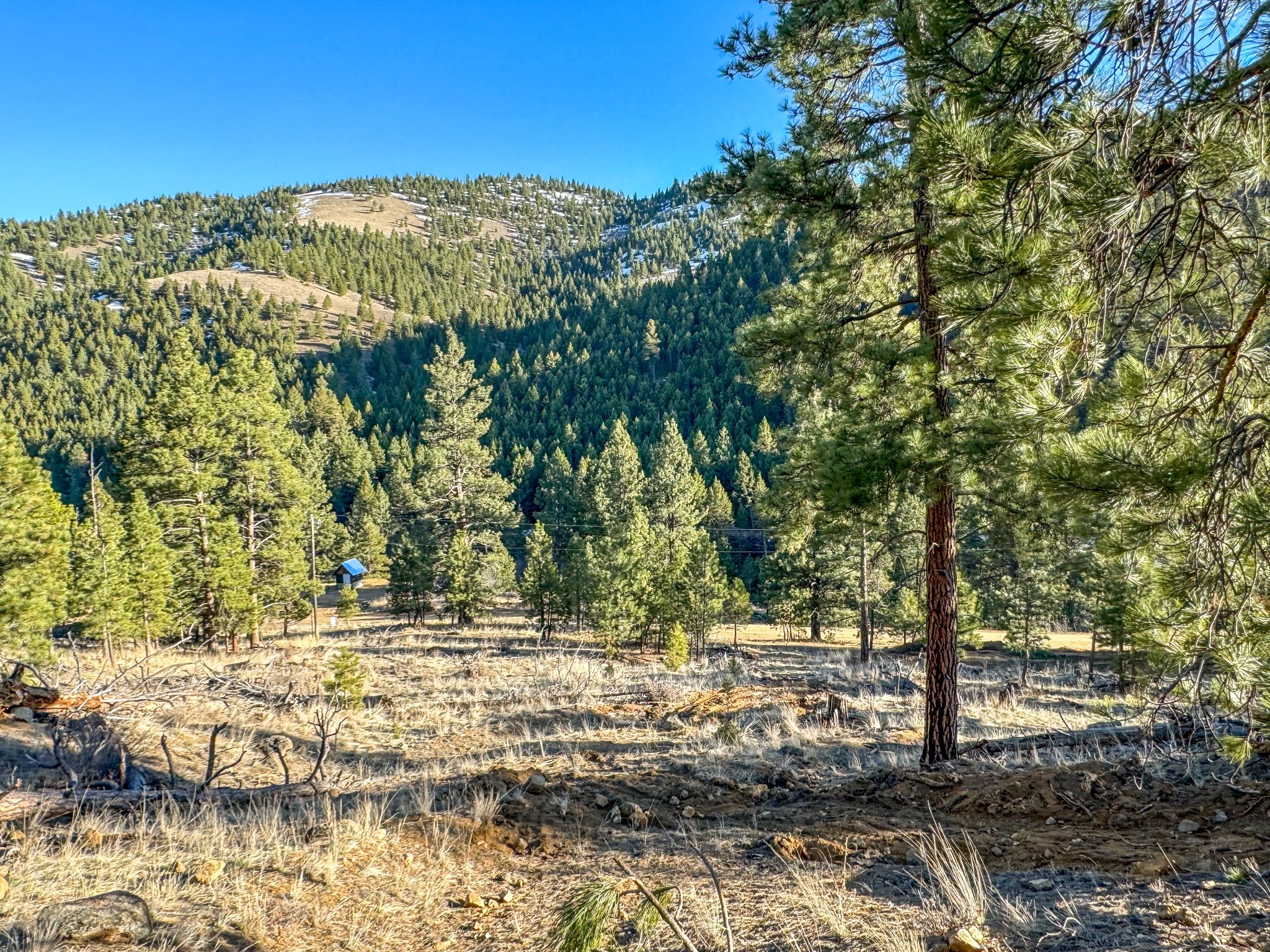 172 Clancy Creek Road Property Photo