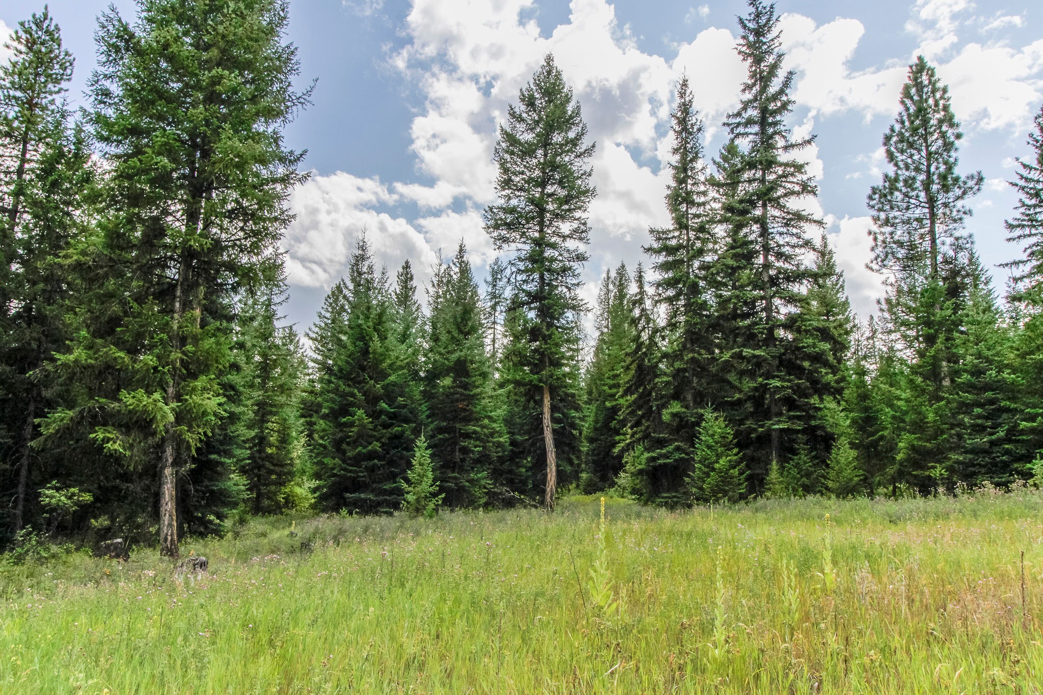 510 Haskill Ranch Road Property Photo 1
