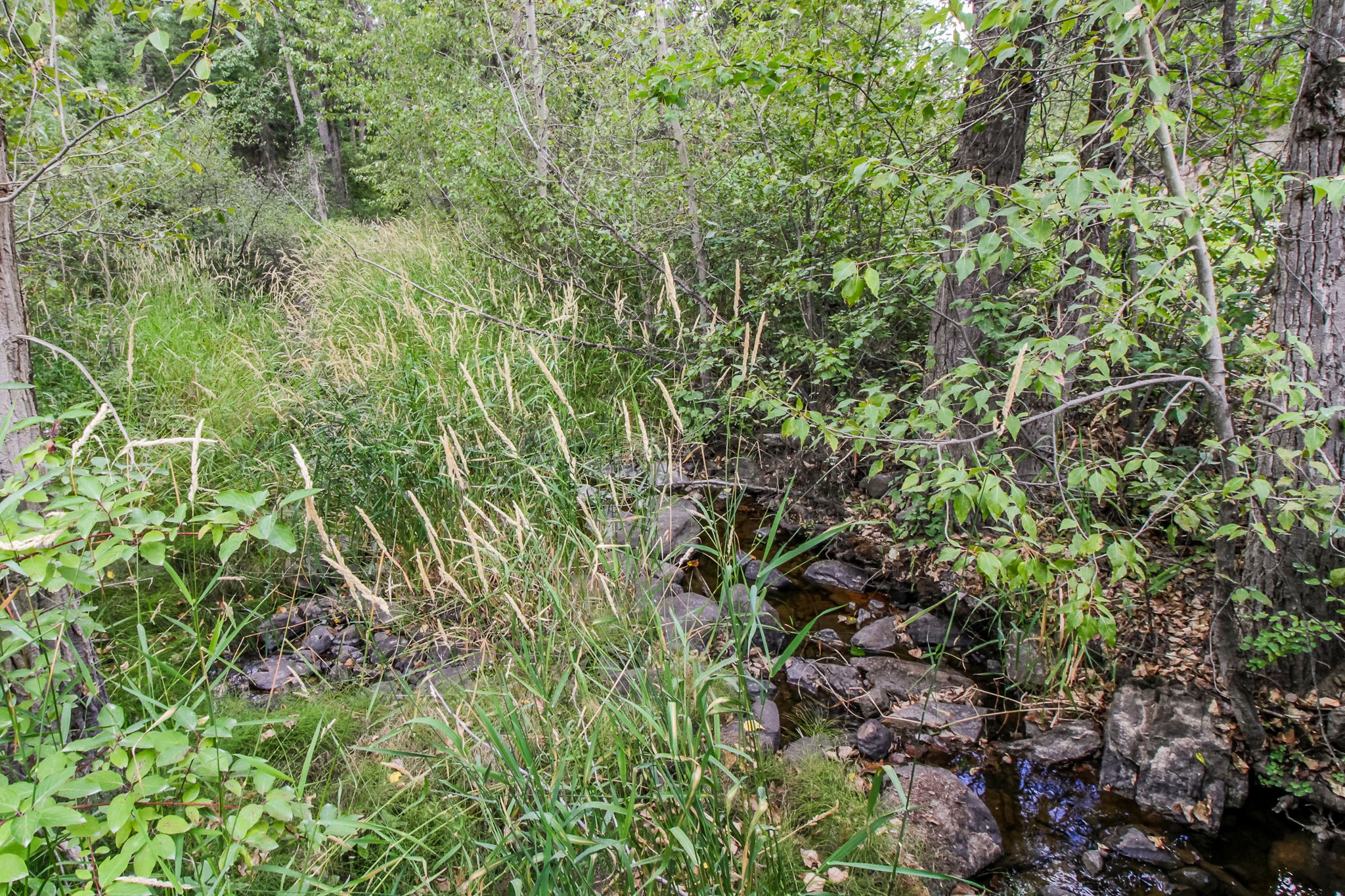510 Haskill Ranch Road Property Photo 6