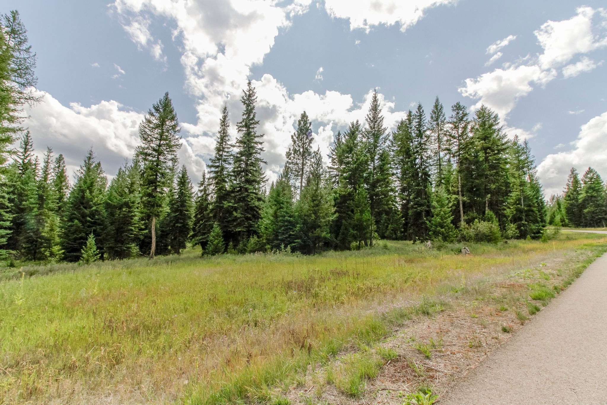 510 Haskill Ranch Road Property Photo 7