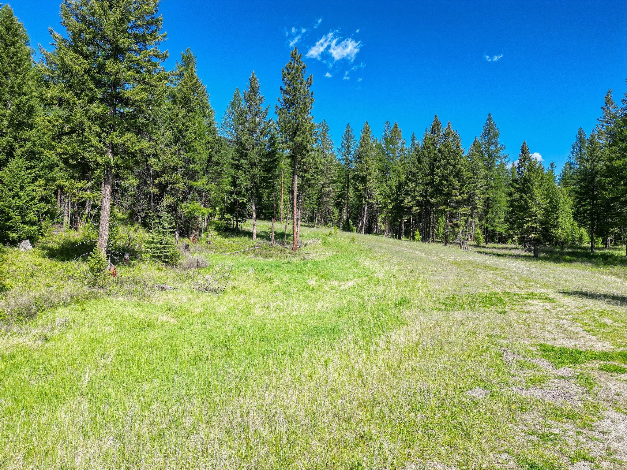 510 Haskill Ranch Road Property Photo 10