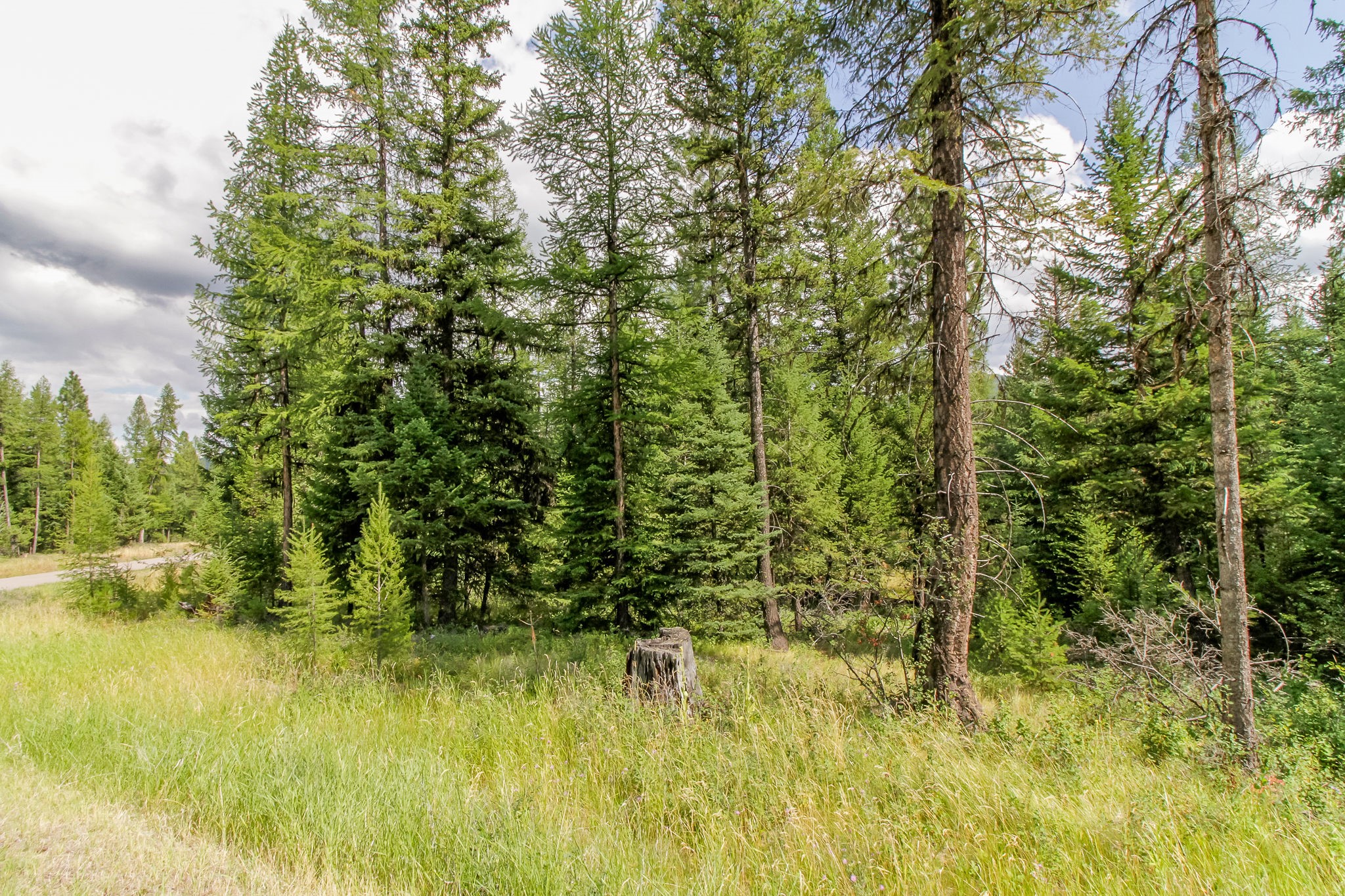 510 Haskill Ranch Road Property Photo 17