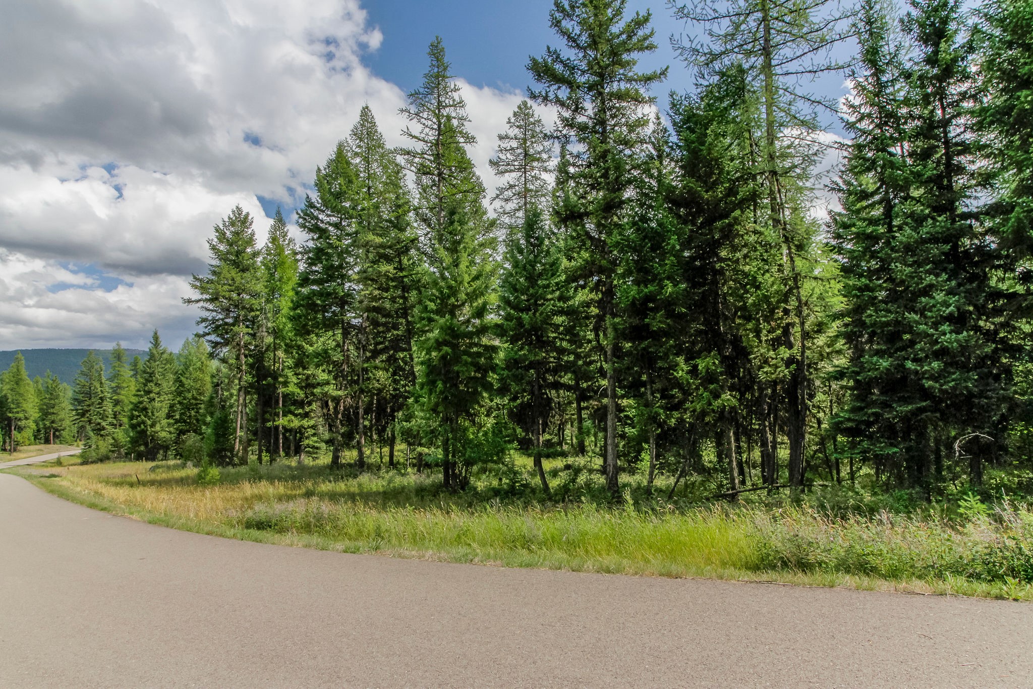 510 Haskill Ranch Road Property Photo 18