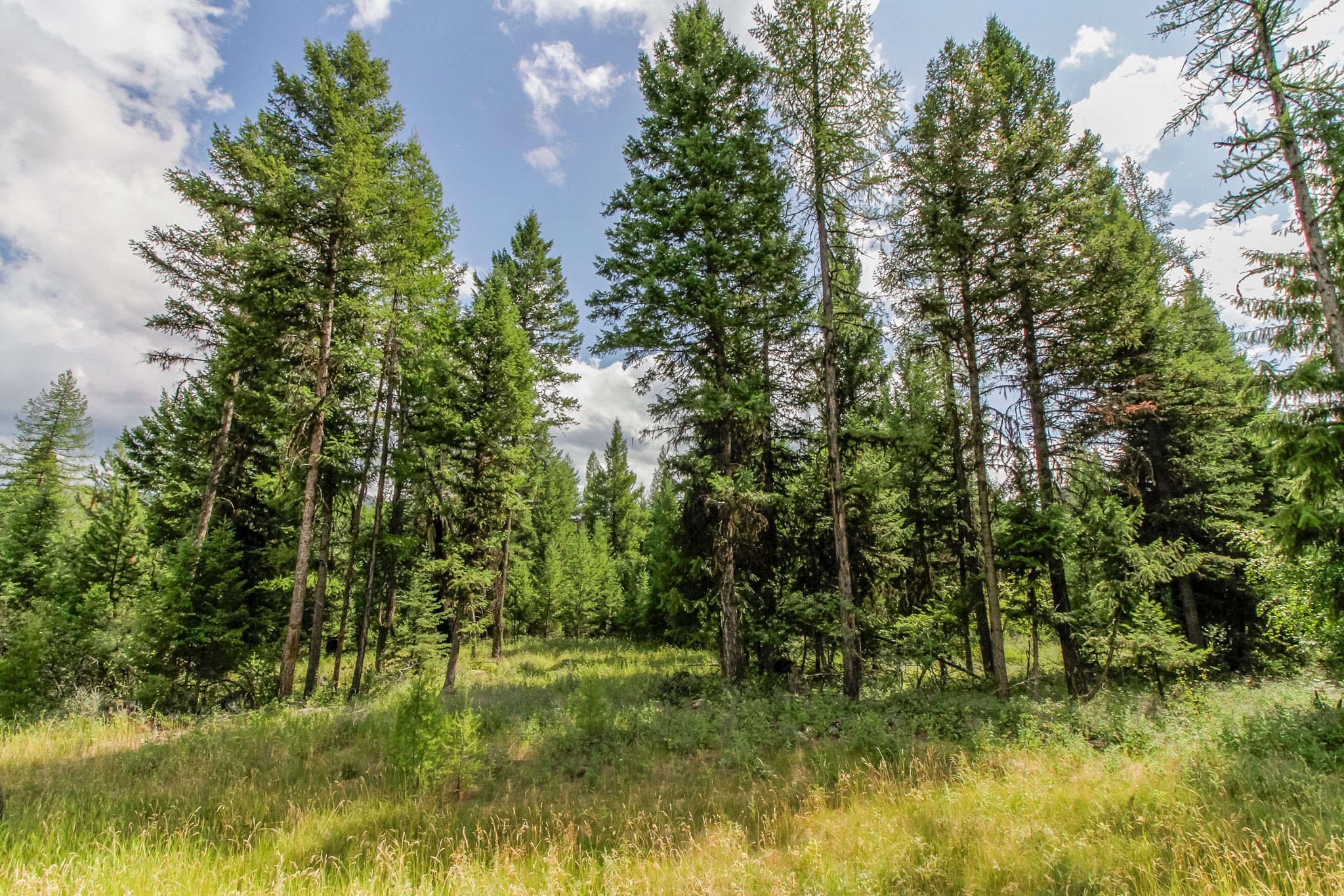 510 Haskill Ranch Road Property Photo 19