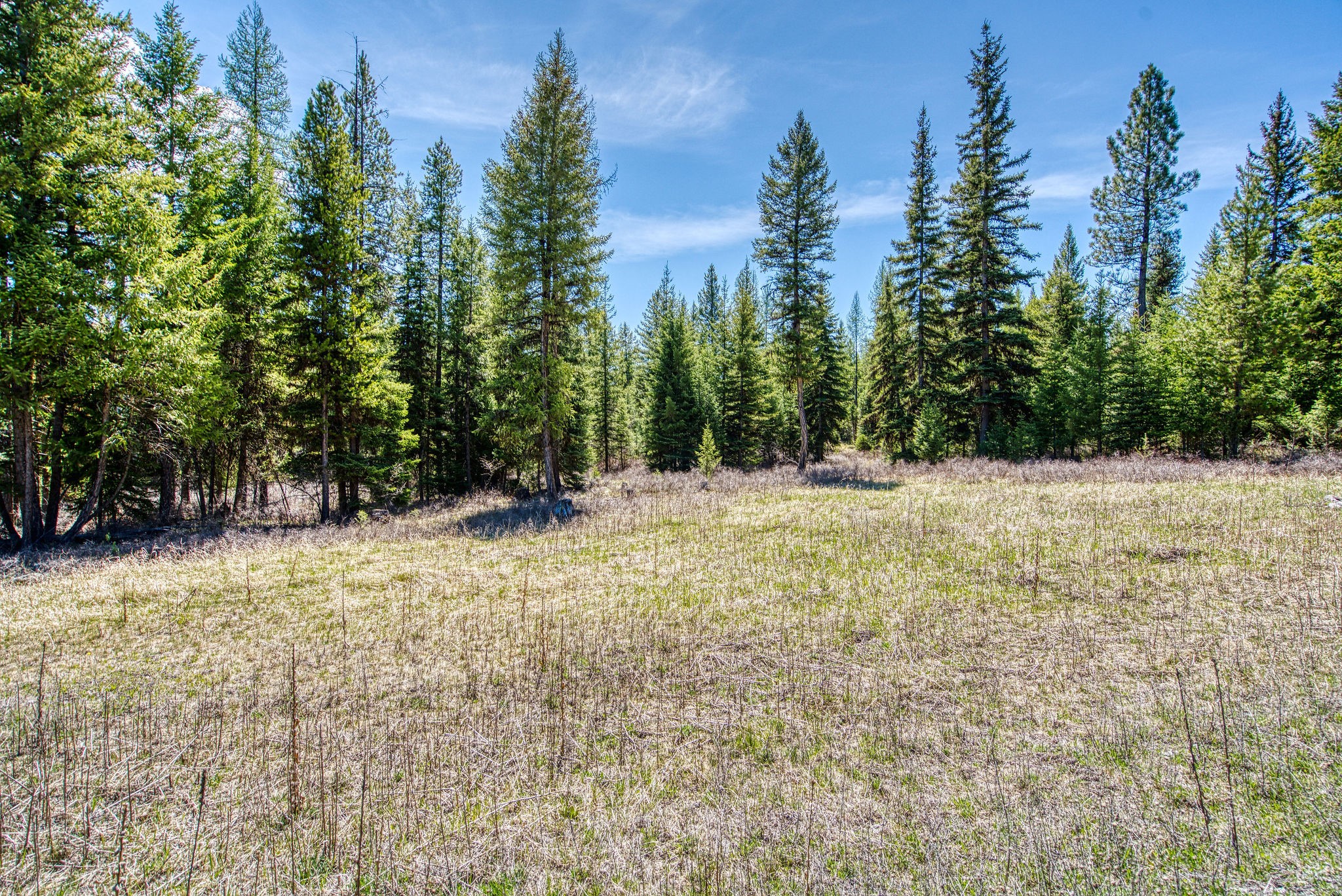 510 Haskill Ranch Road Property Photo 23